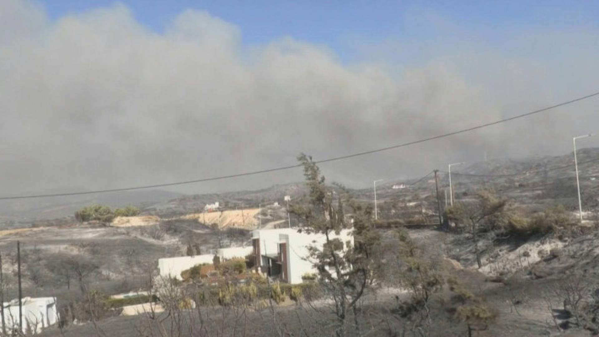 Image 1 from gallery