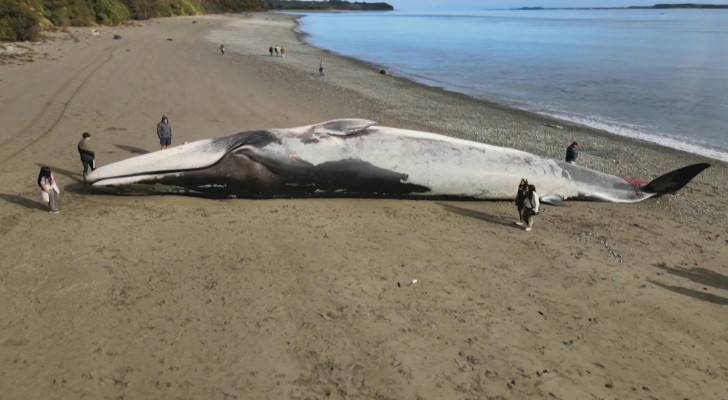 Image 1 from gallery