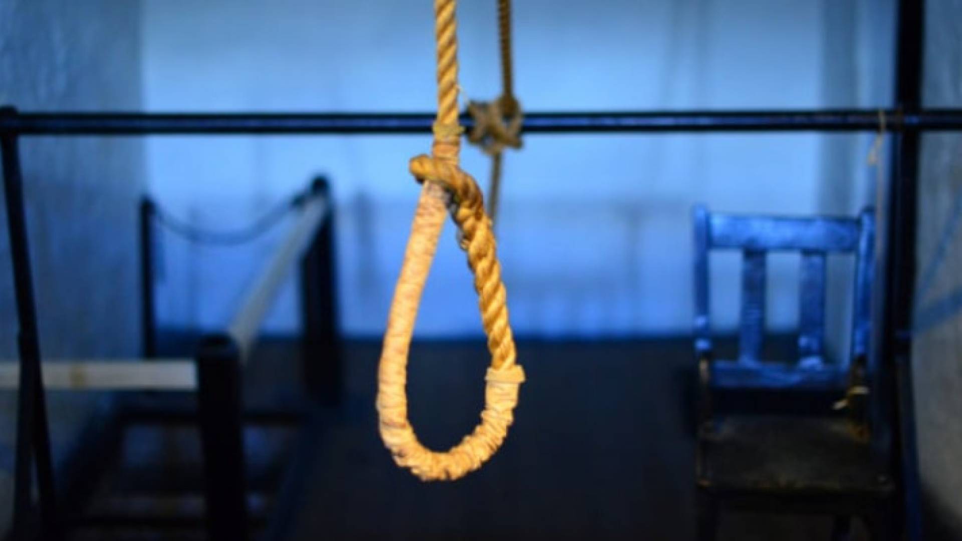 Image 1 from gallery