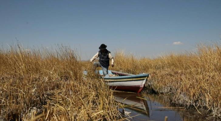 Water level of Titicaca lake drops drastically due to climate change