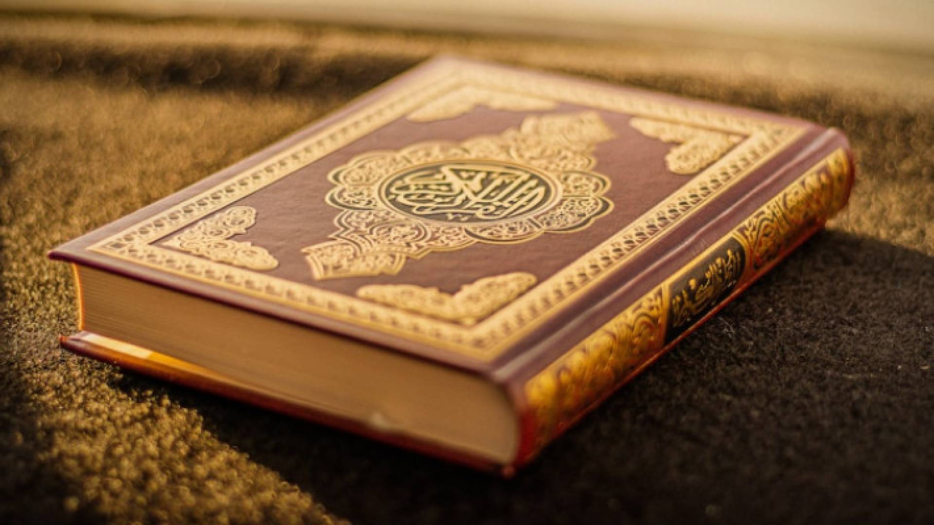 Image 1 from gallery