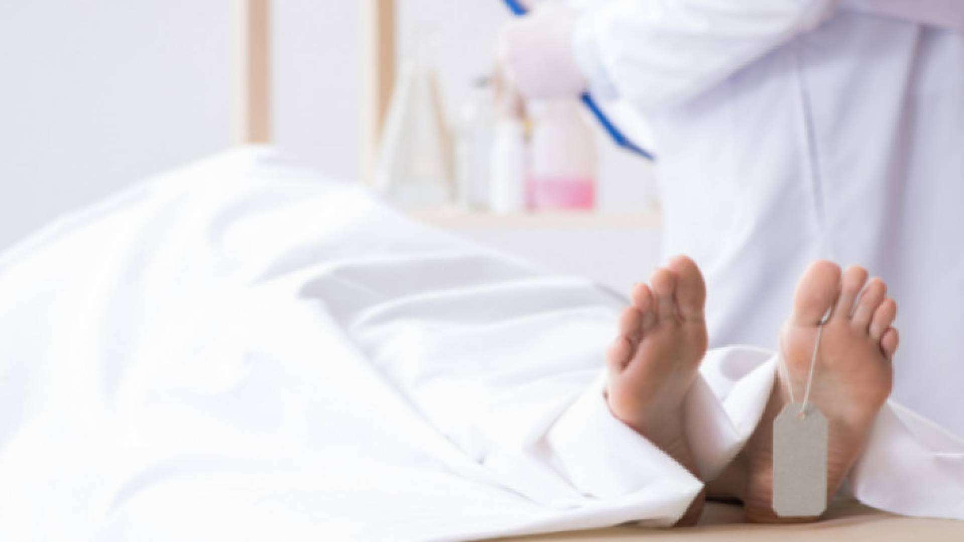 Image 1 from gallery