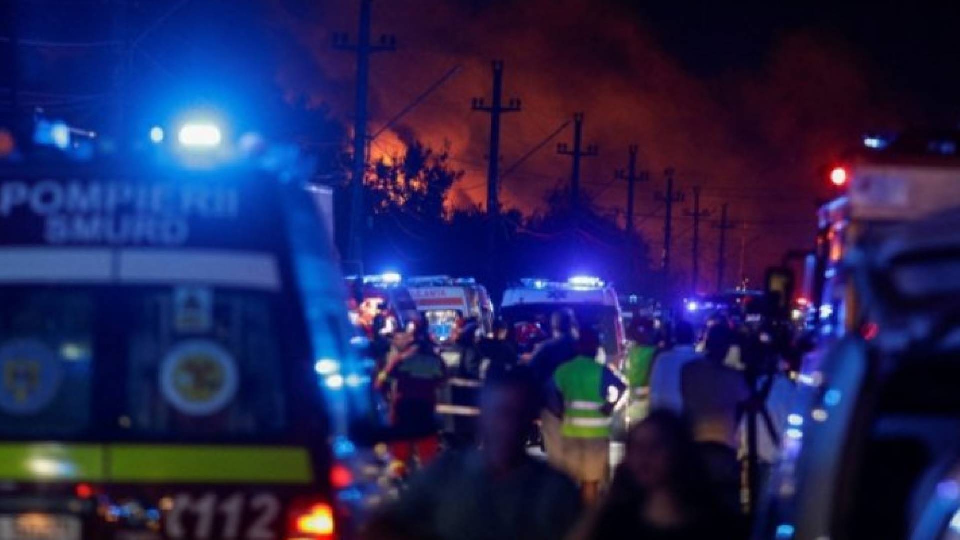 Image 1 from gallery