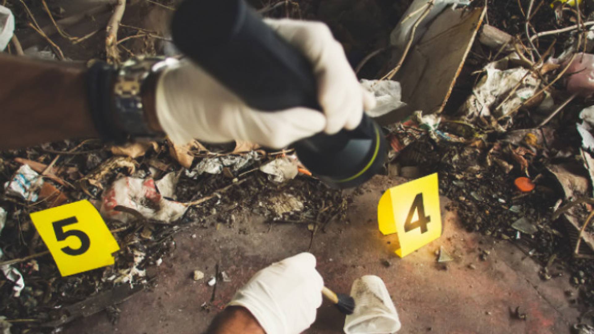 Image 1 from gallery