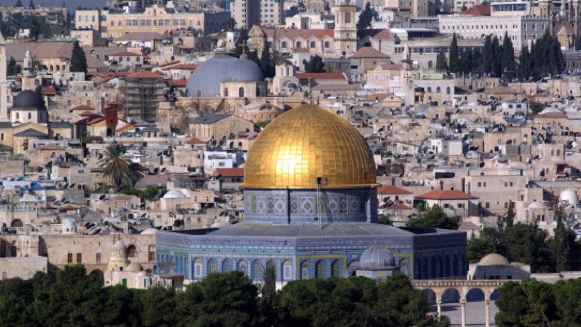 Image 1 from gallery