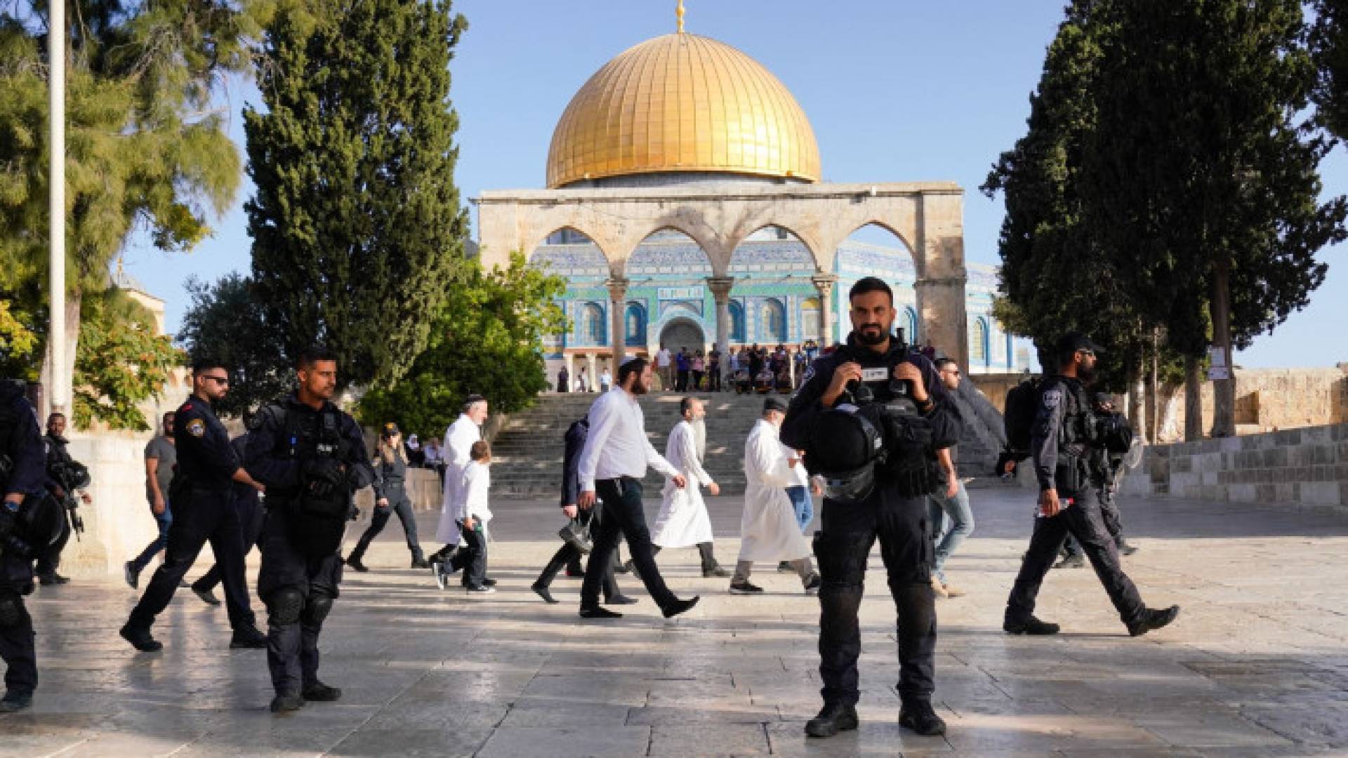 Image 1 from gallery