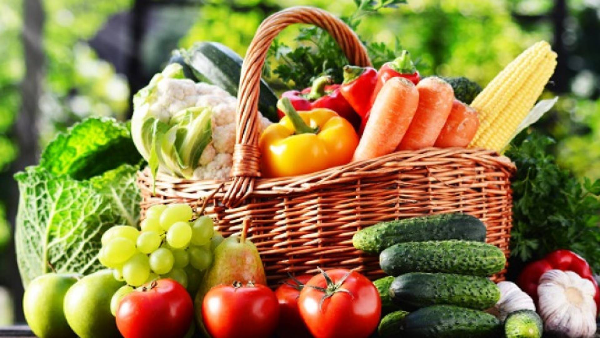 Image 1 from gallery