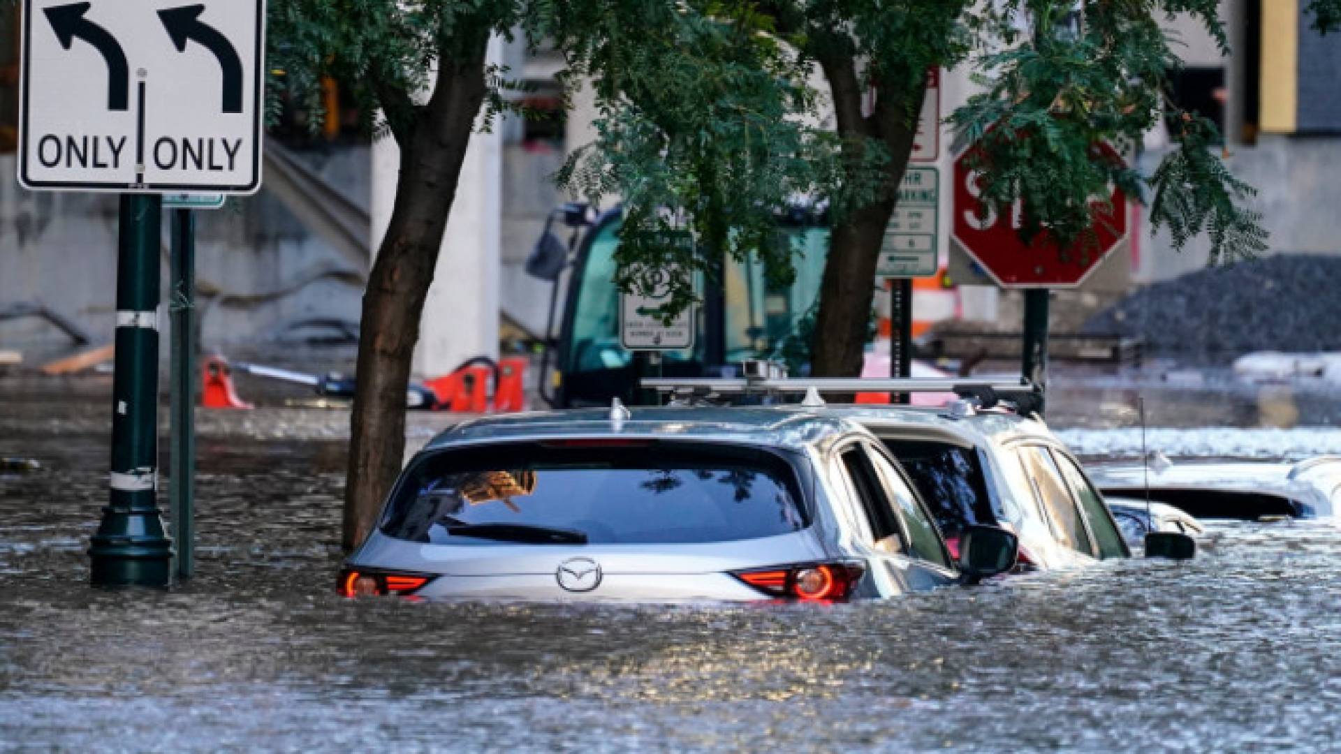 Image 1 from gallery