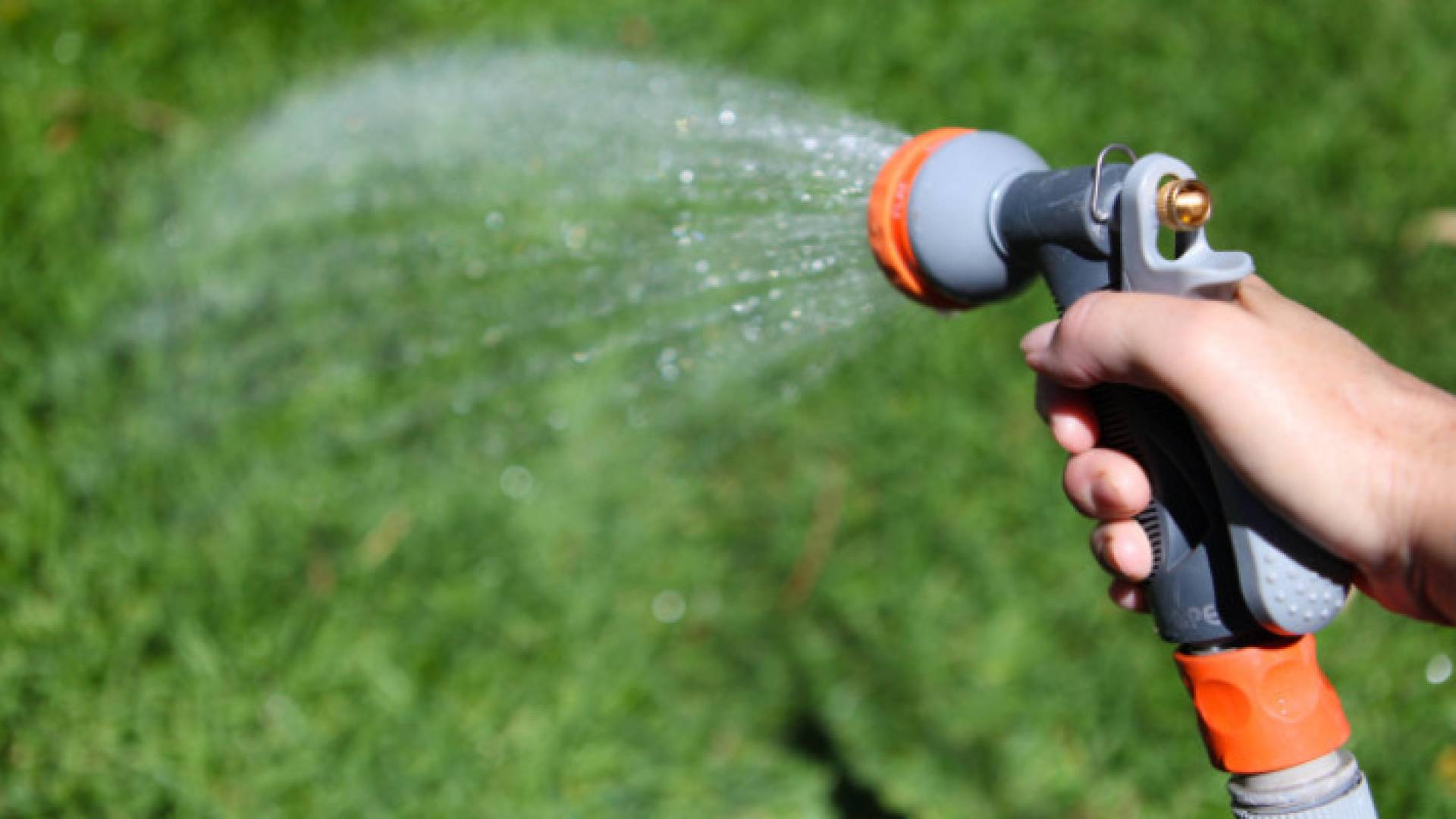 Image 1 from gallery