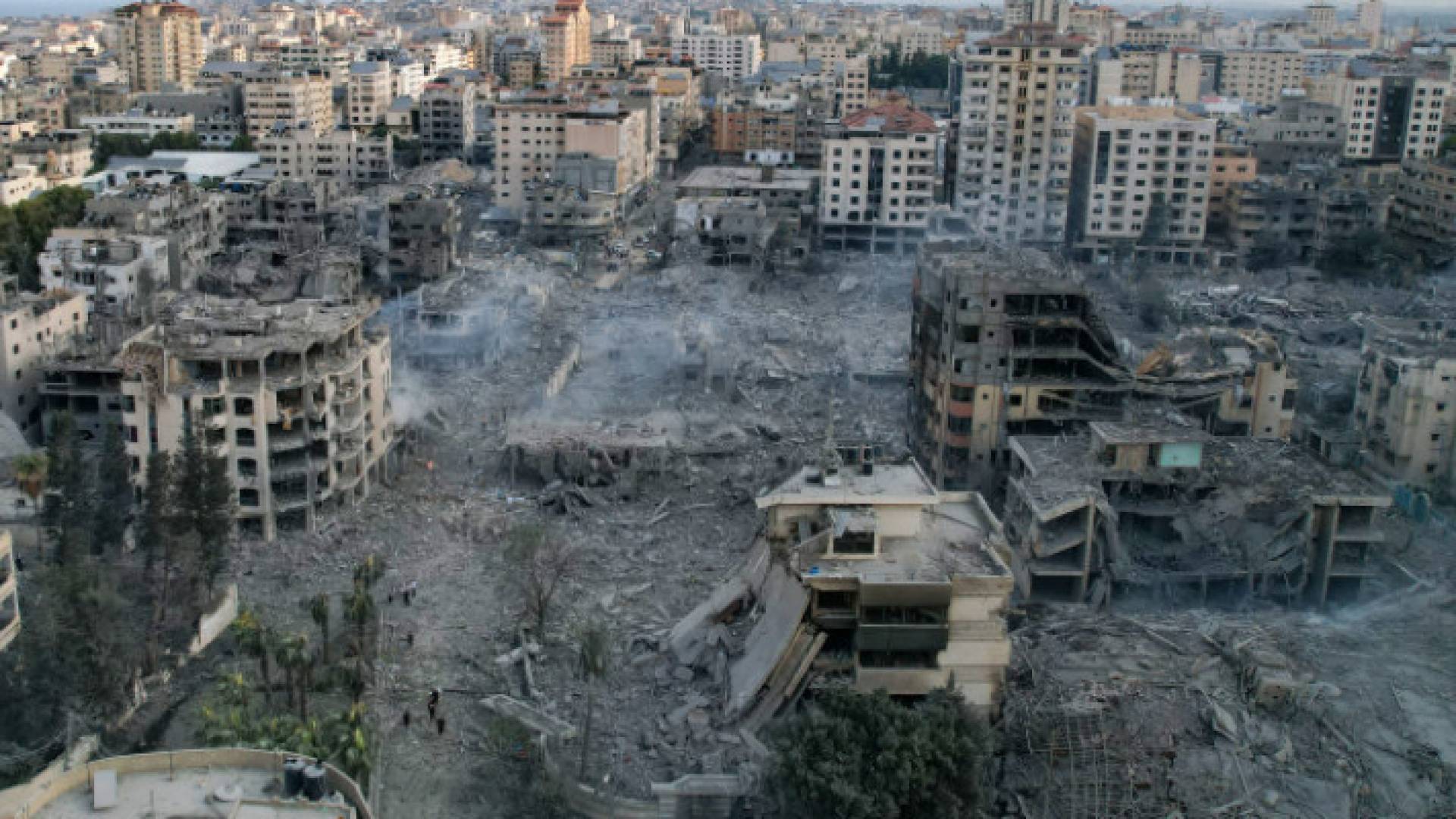 Image 1 from gallery