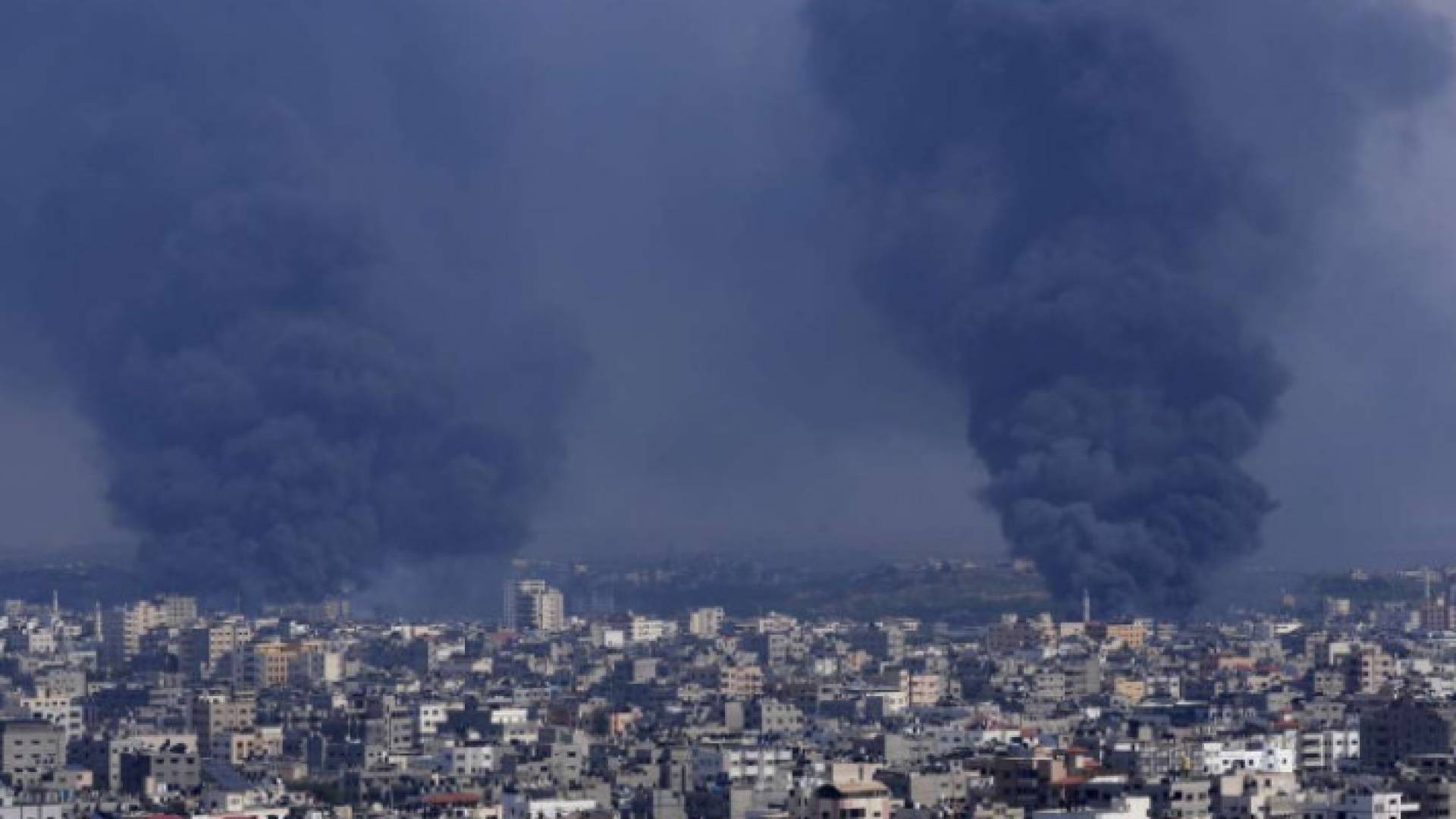 Image 1 from gallery