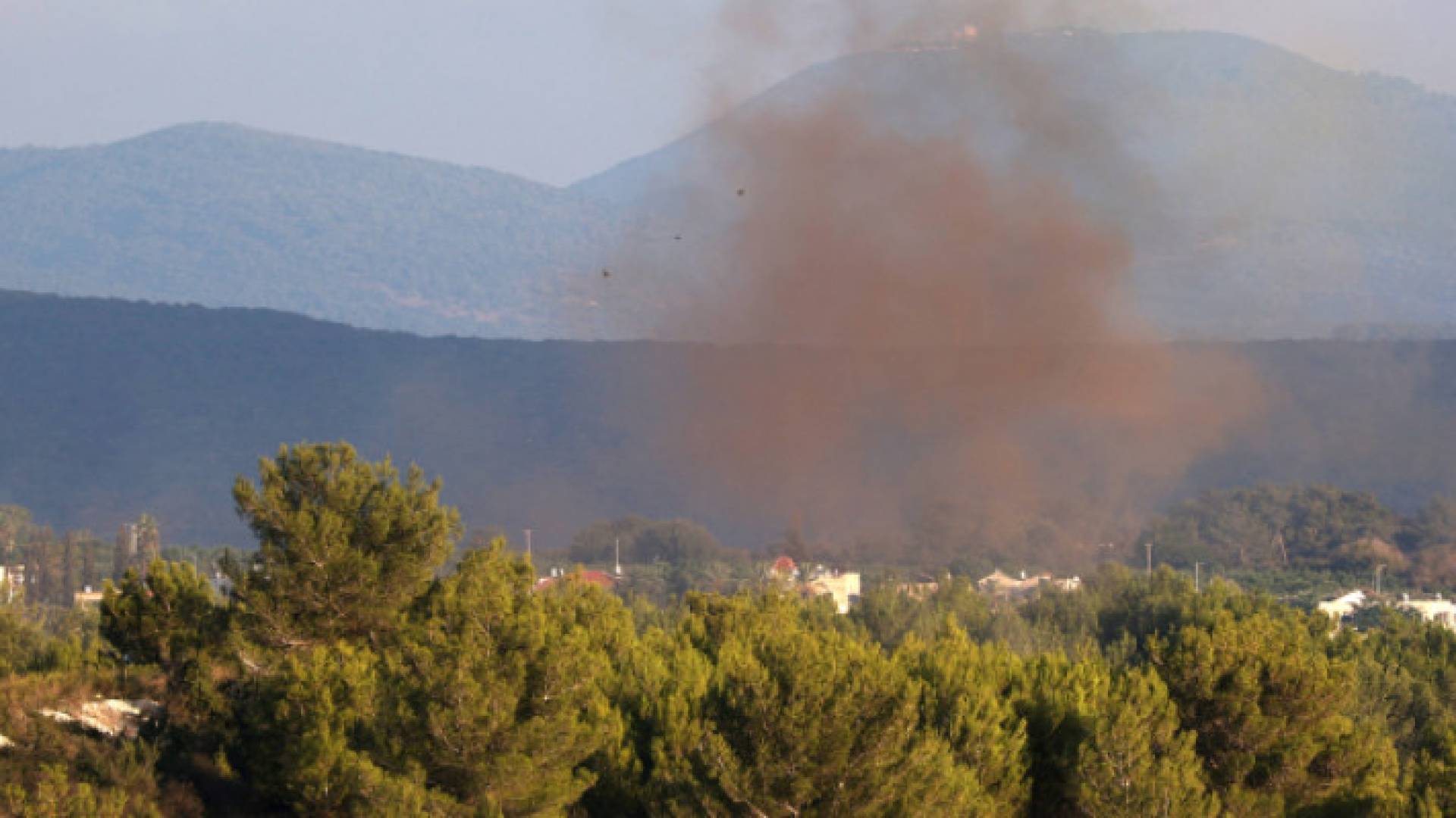 Image 1 from gallery