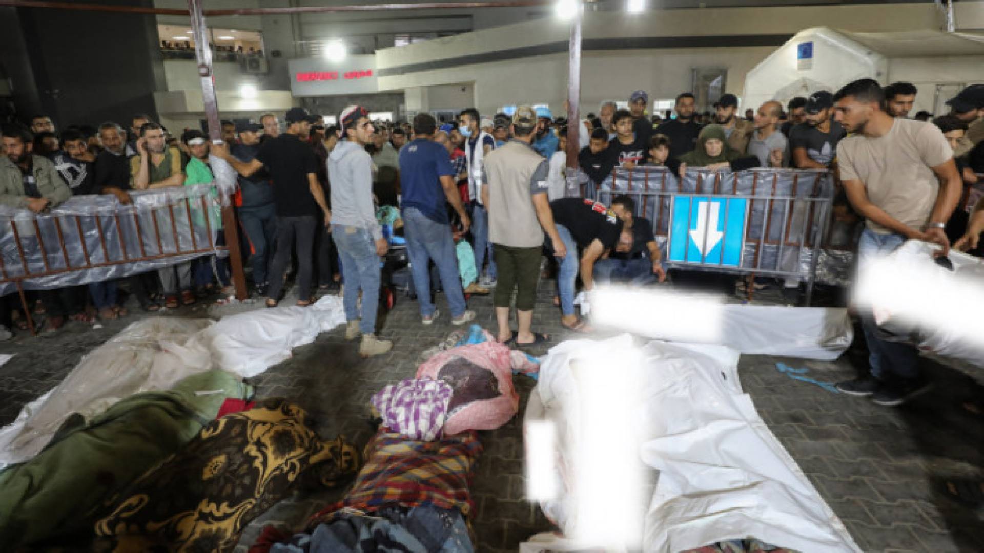 Image 1 from gallery