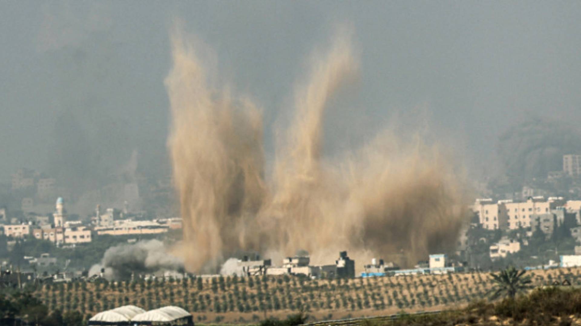 Image 1 from gallery