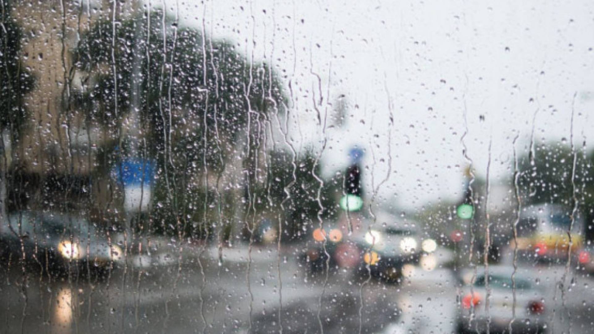 Image 1 from gallery