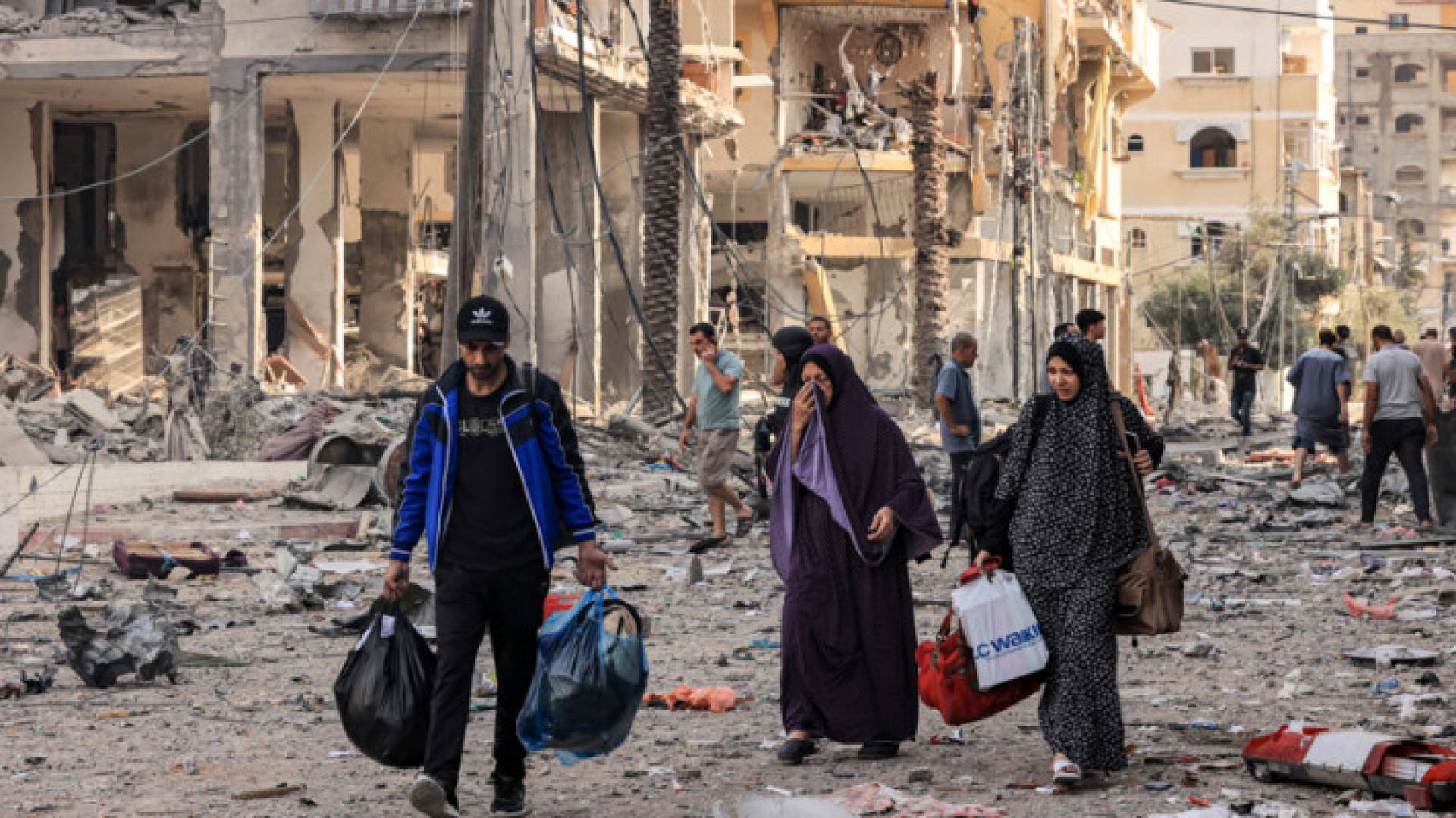 Image 1 from gallery