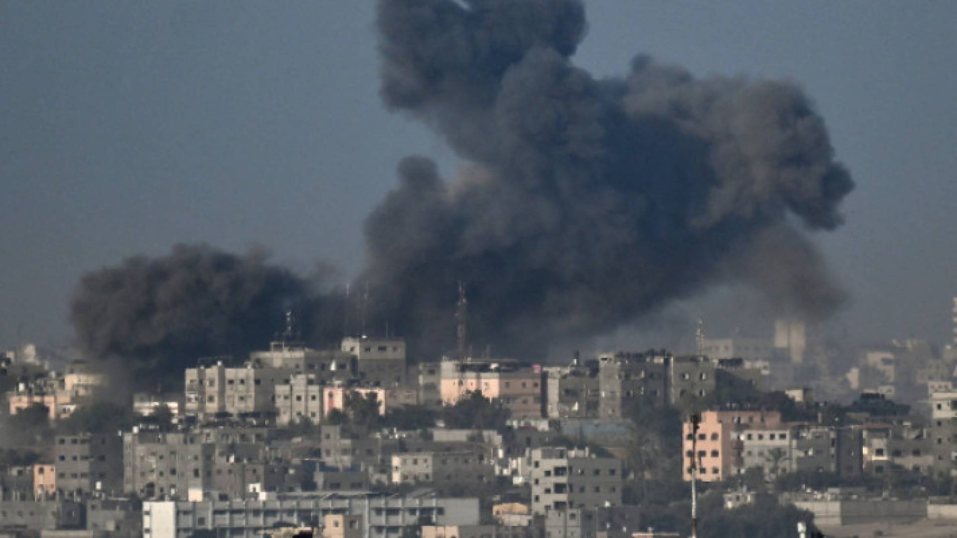 Image 1 from gallery