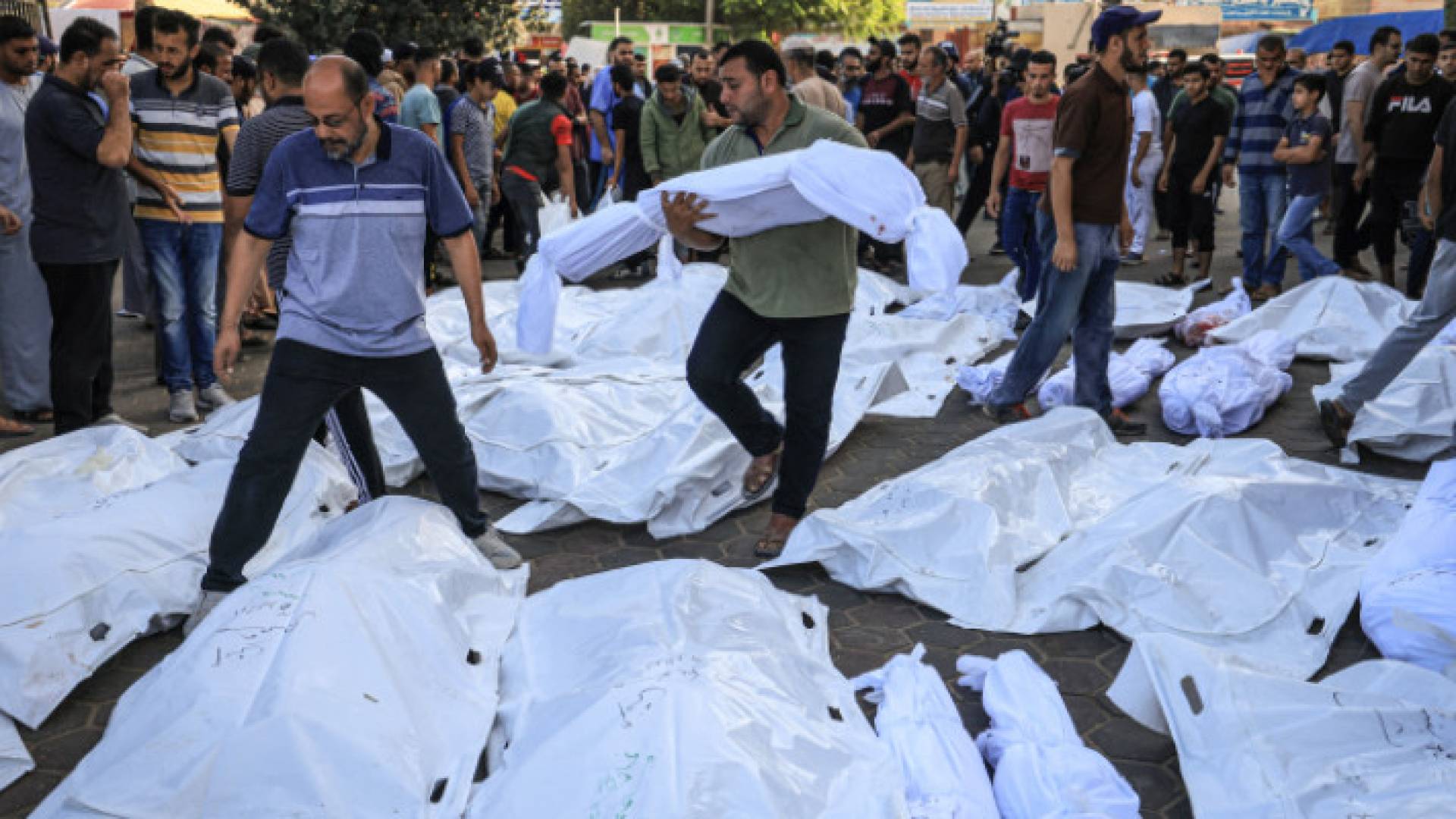 Image 1 from gallery