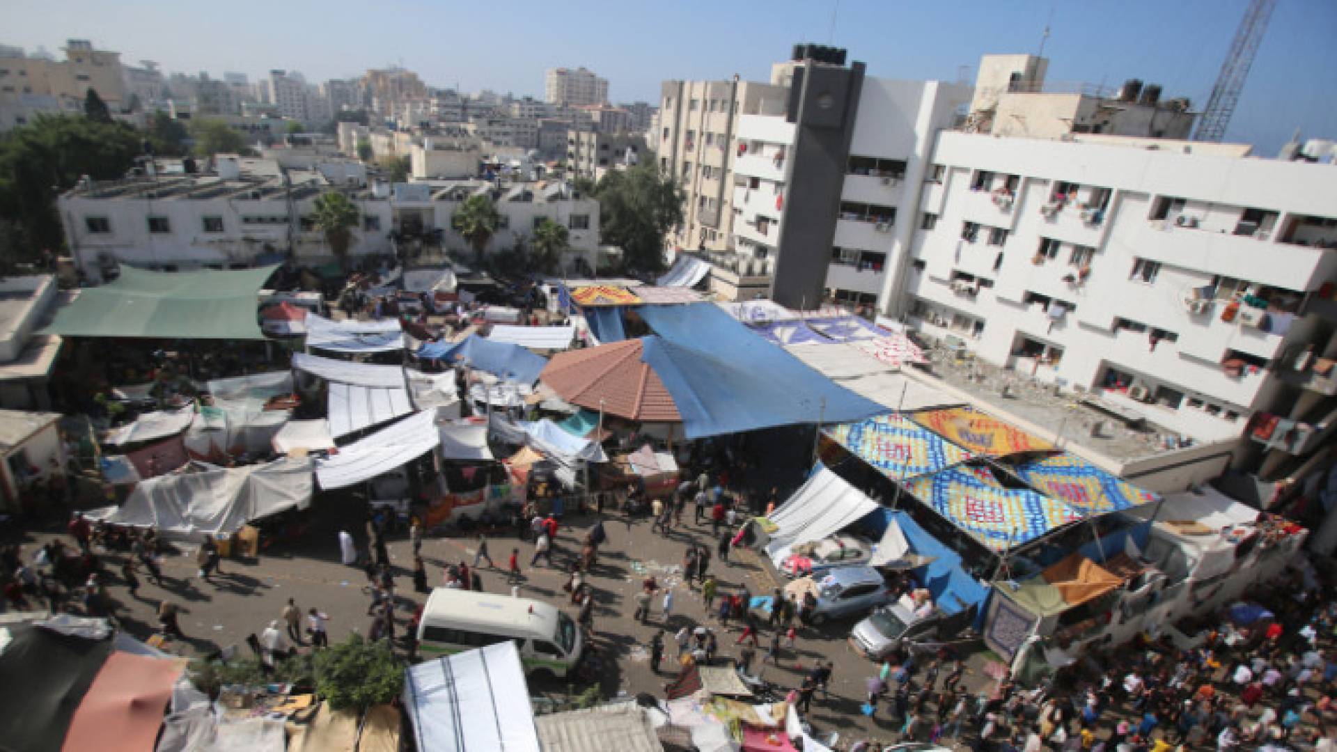 Image 1 from gallery