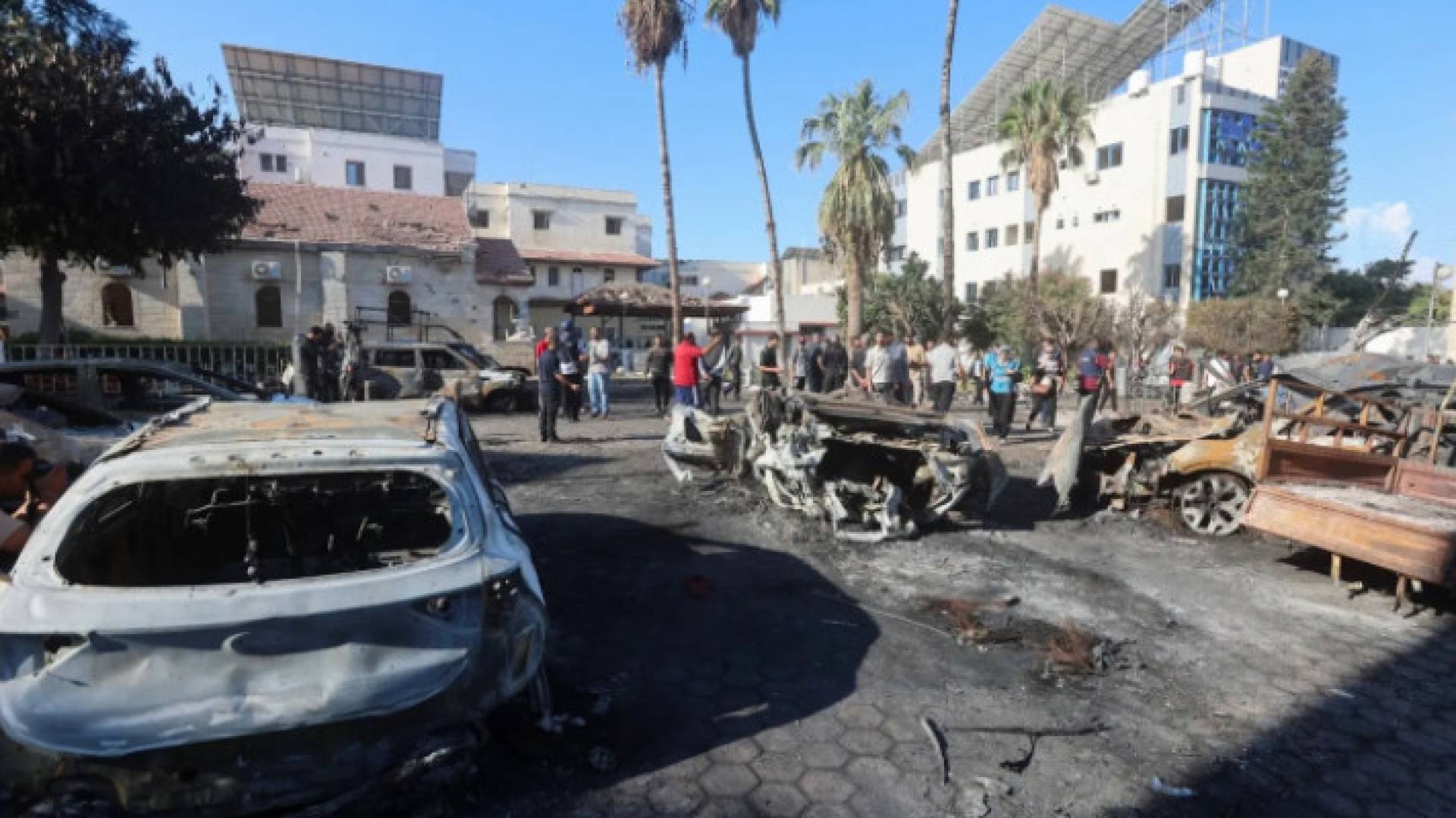 Image 1 from gallery