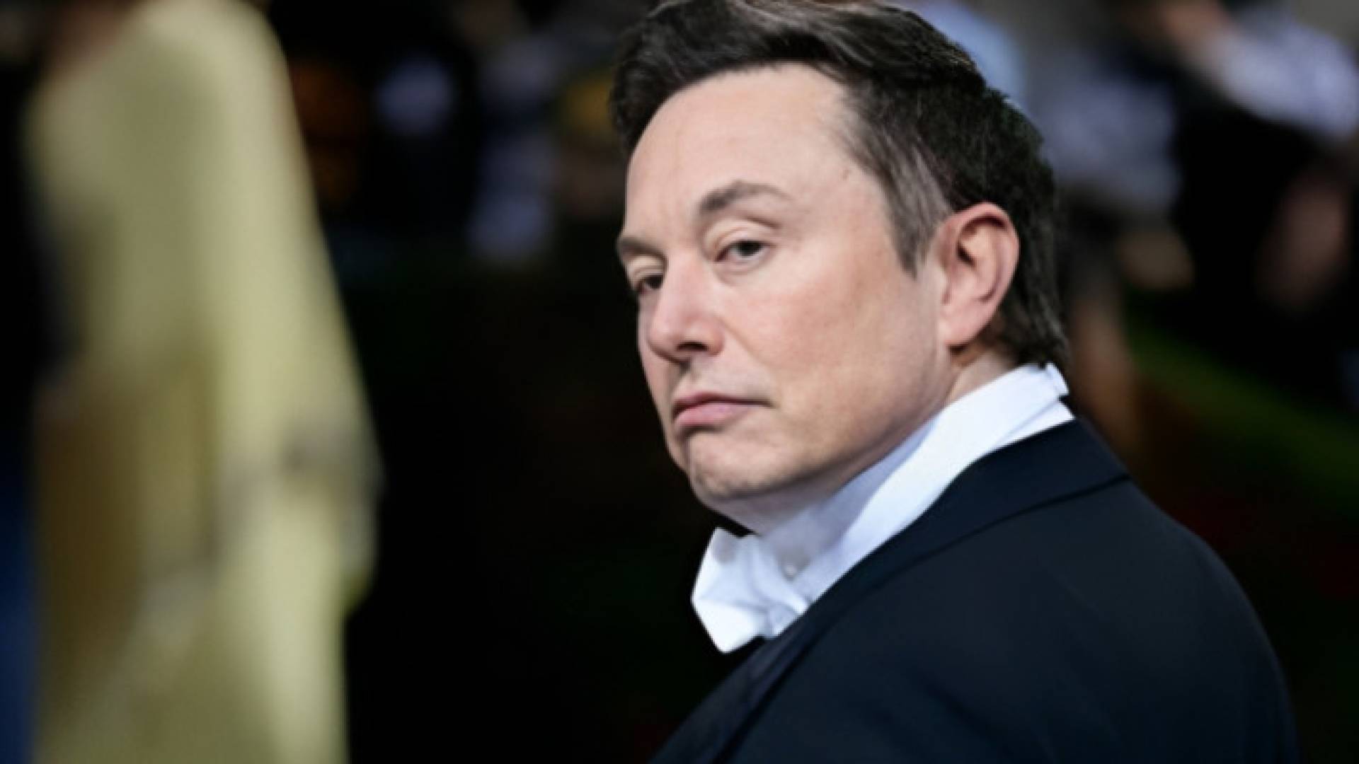 Image 1 from gallery