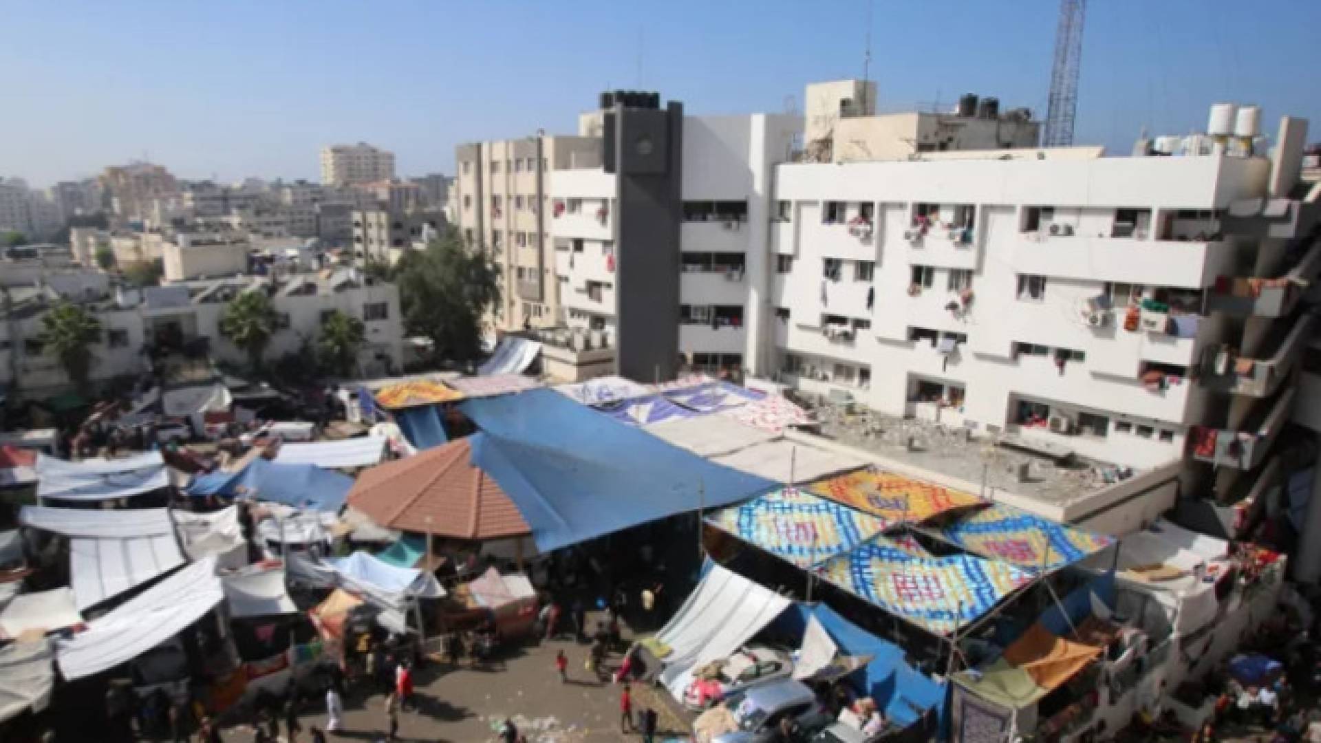 Image 1 from gallery