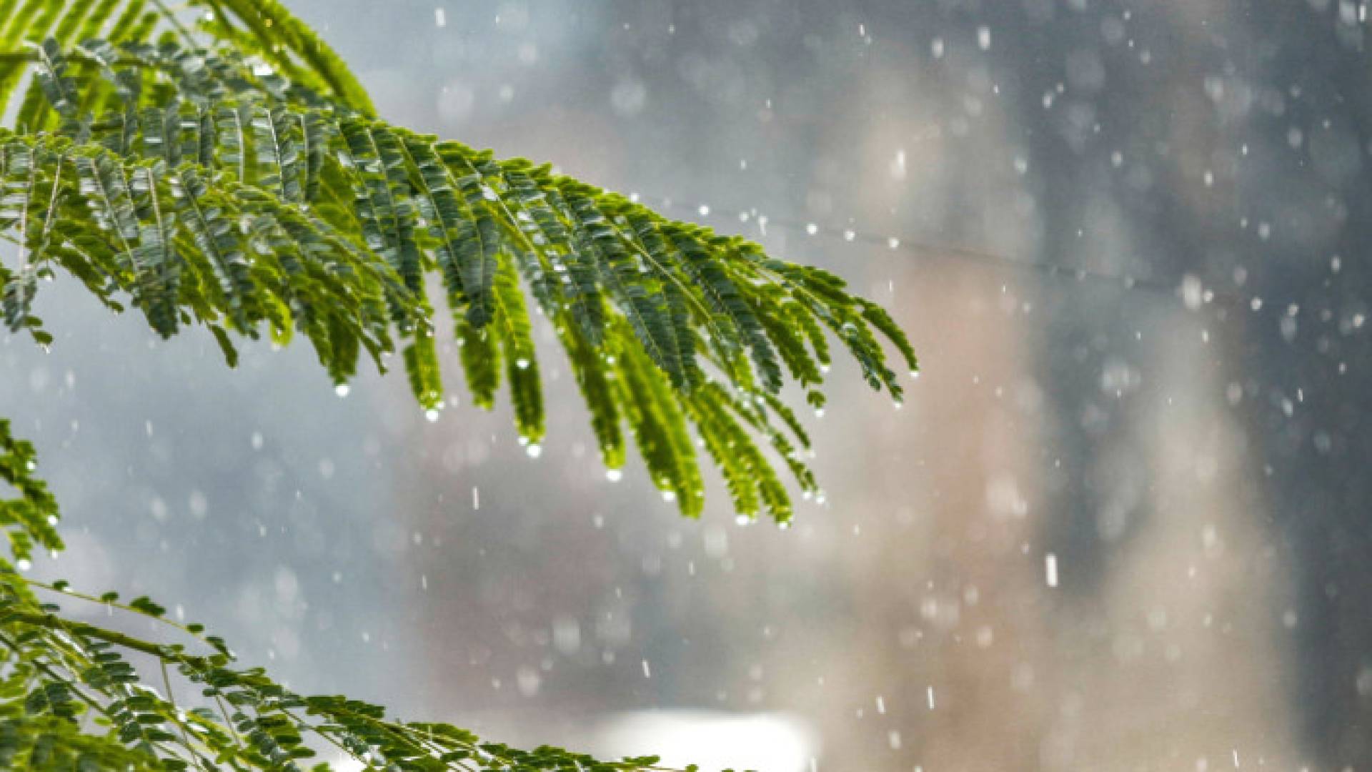 Image 1 from gallery