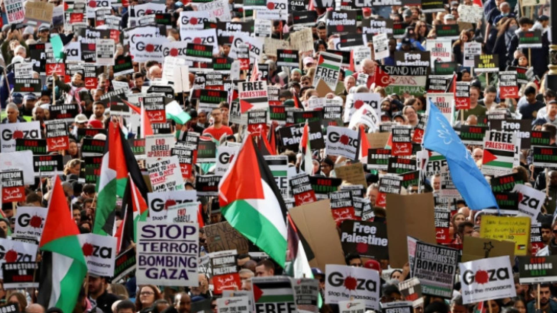 Image 1 from gallery