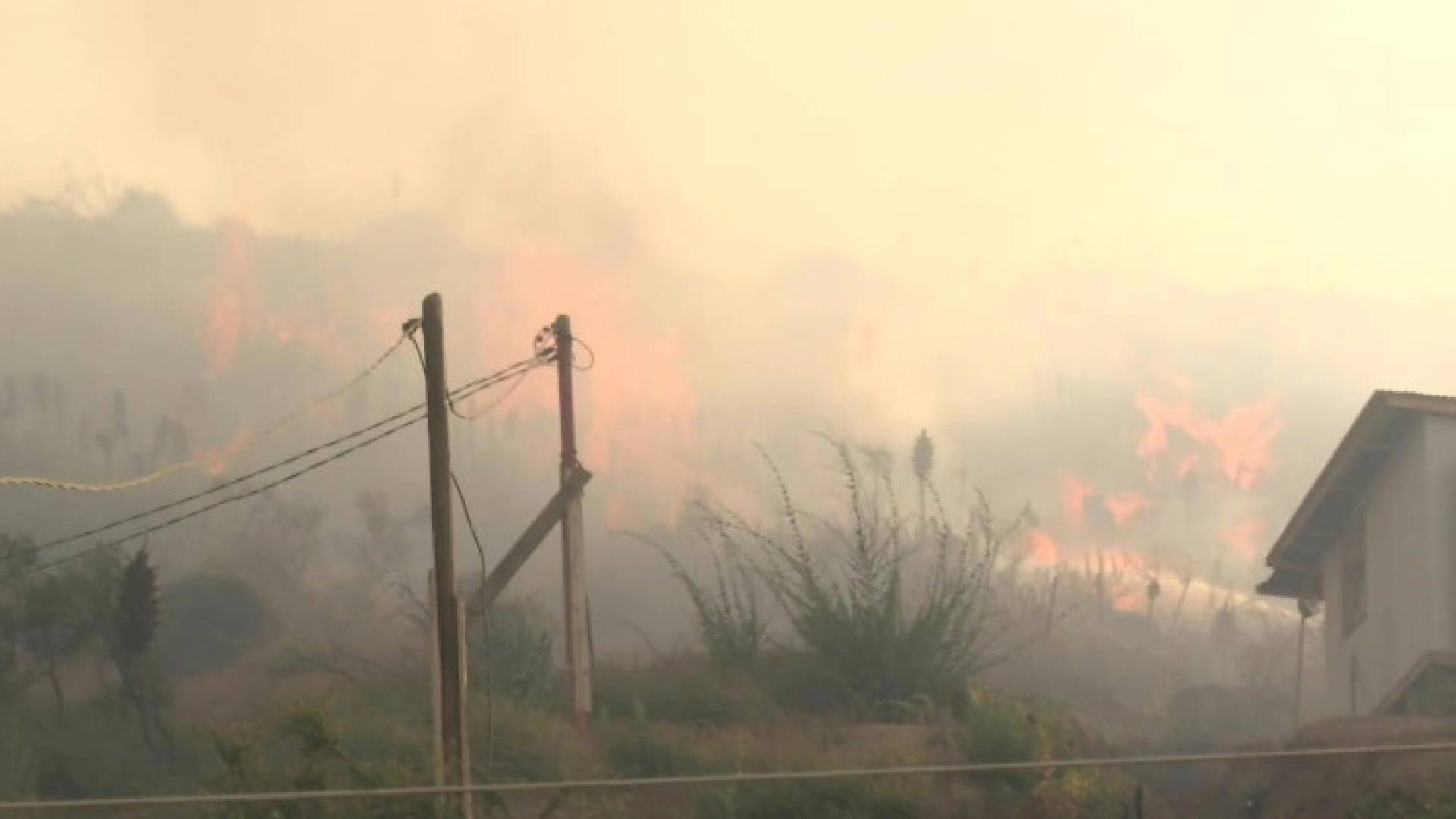 Image 1 from gallery