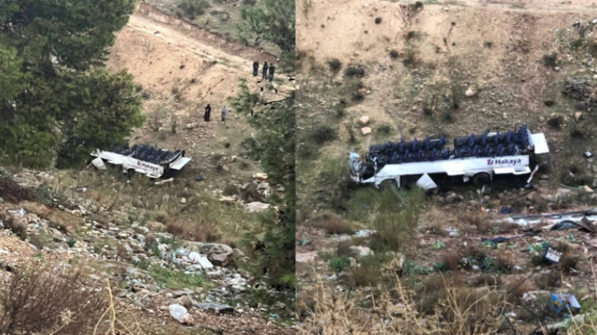 Image 1 from gallery