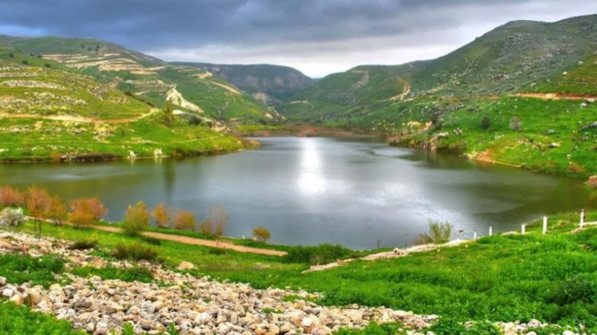 Image 1 from gallery