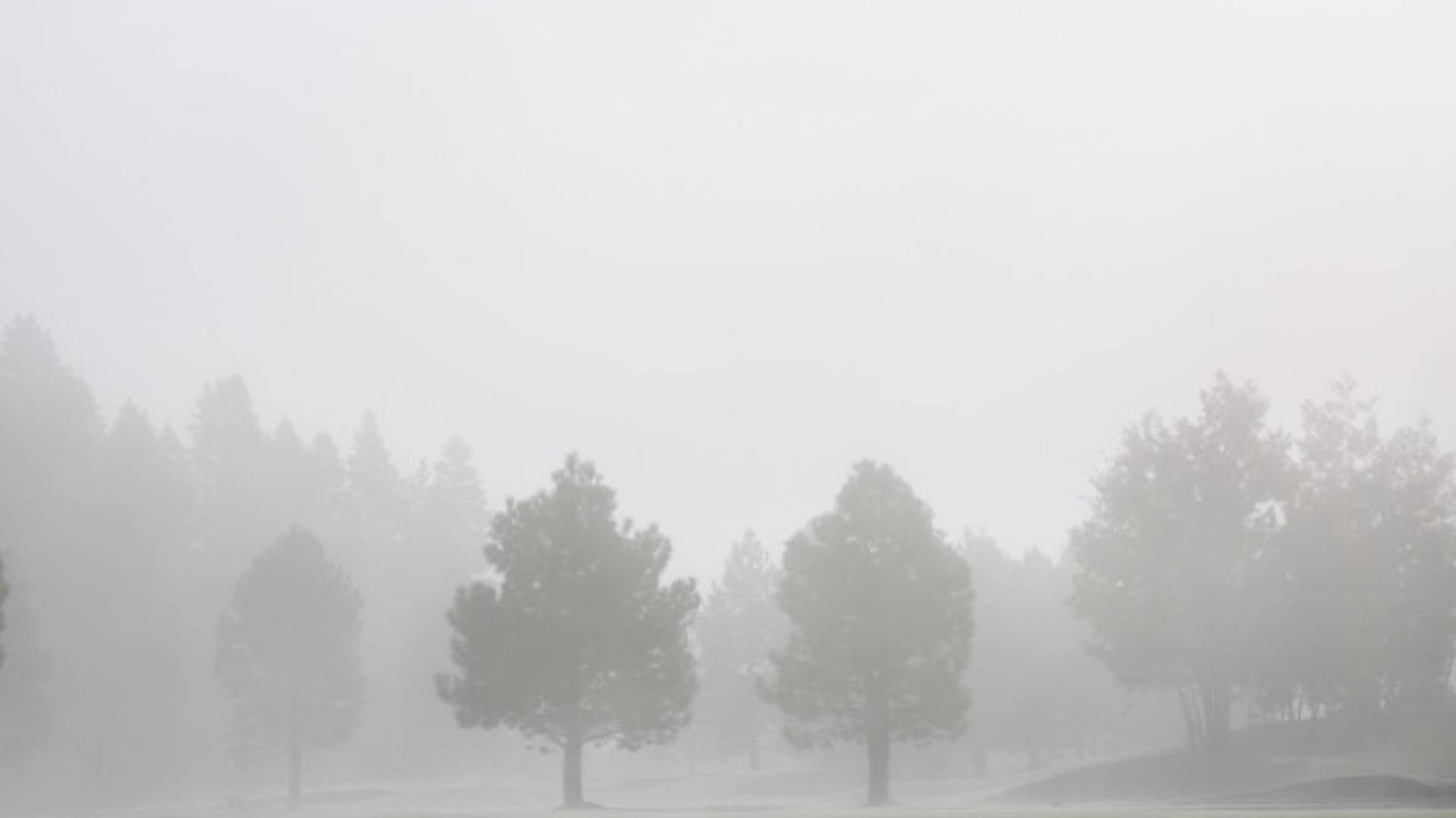 Image 1 from gallery