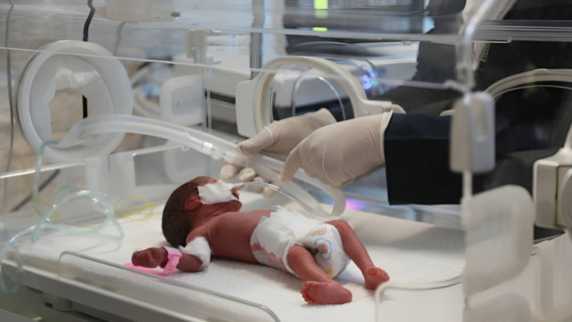 Image 1 from gallery