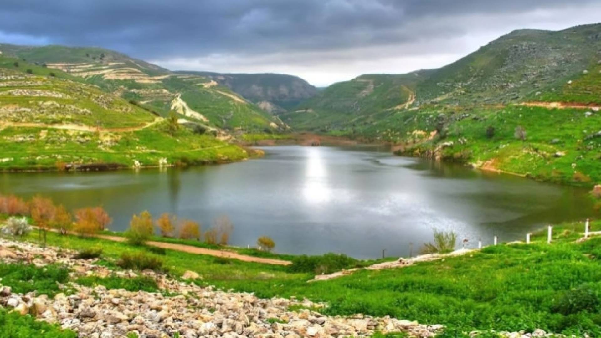 Image 1 from gallery