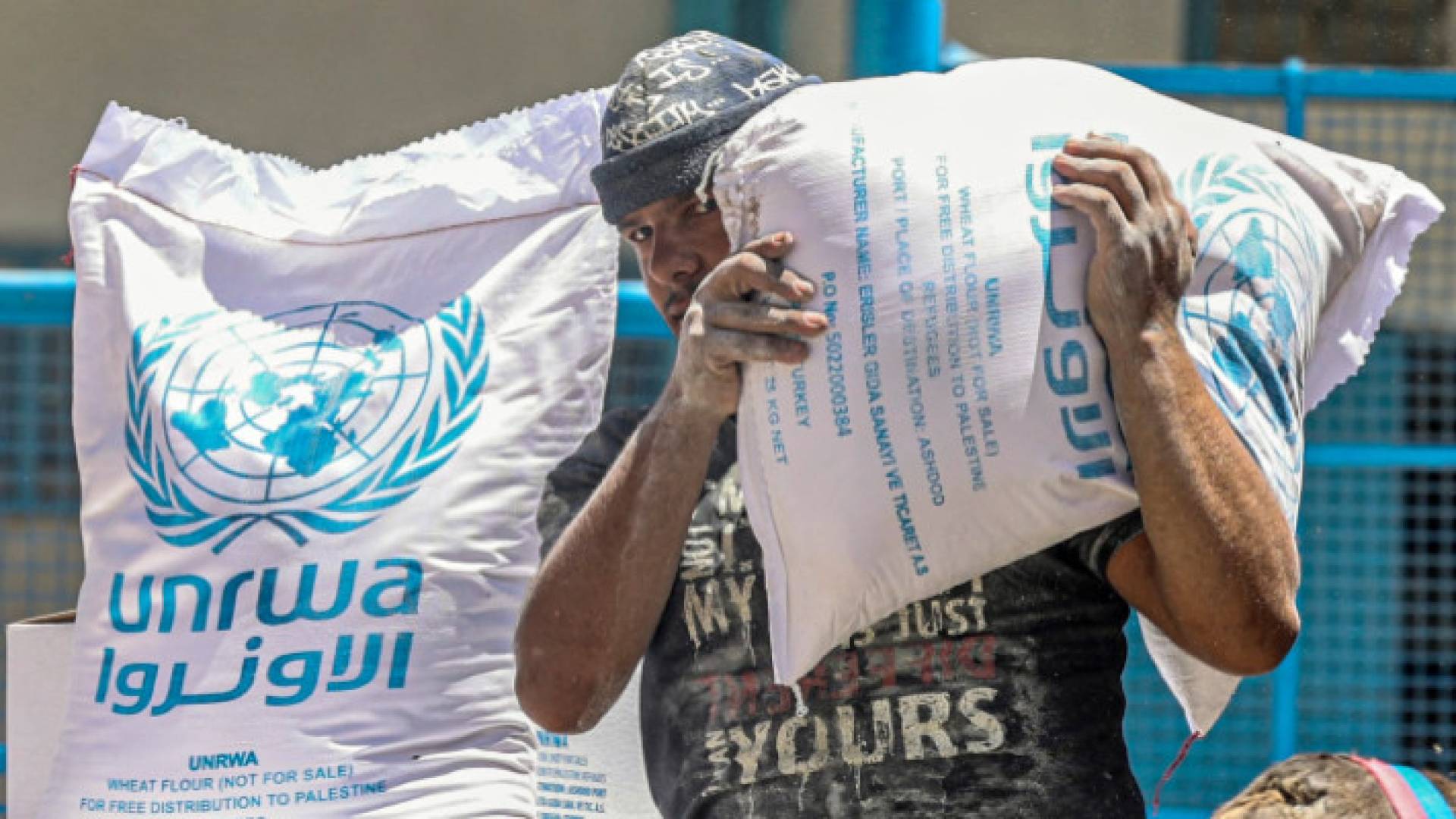 Image 1 from gallery