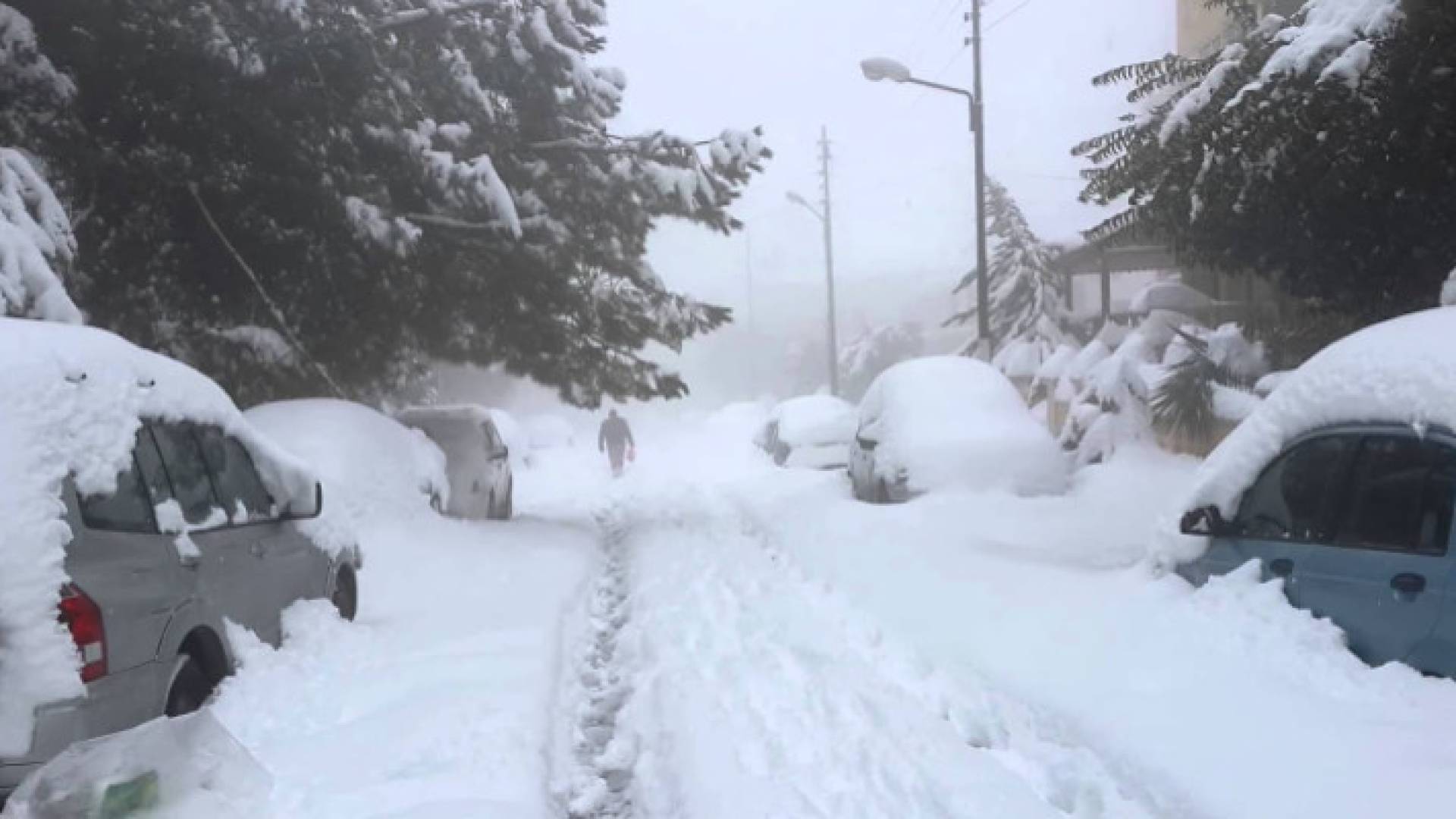 Image 1 from gallery