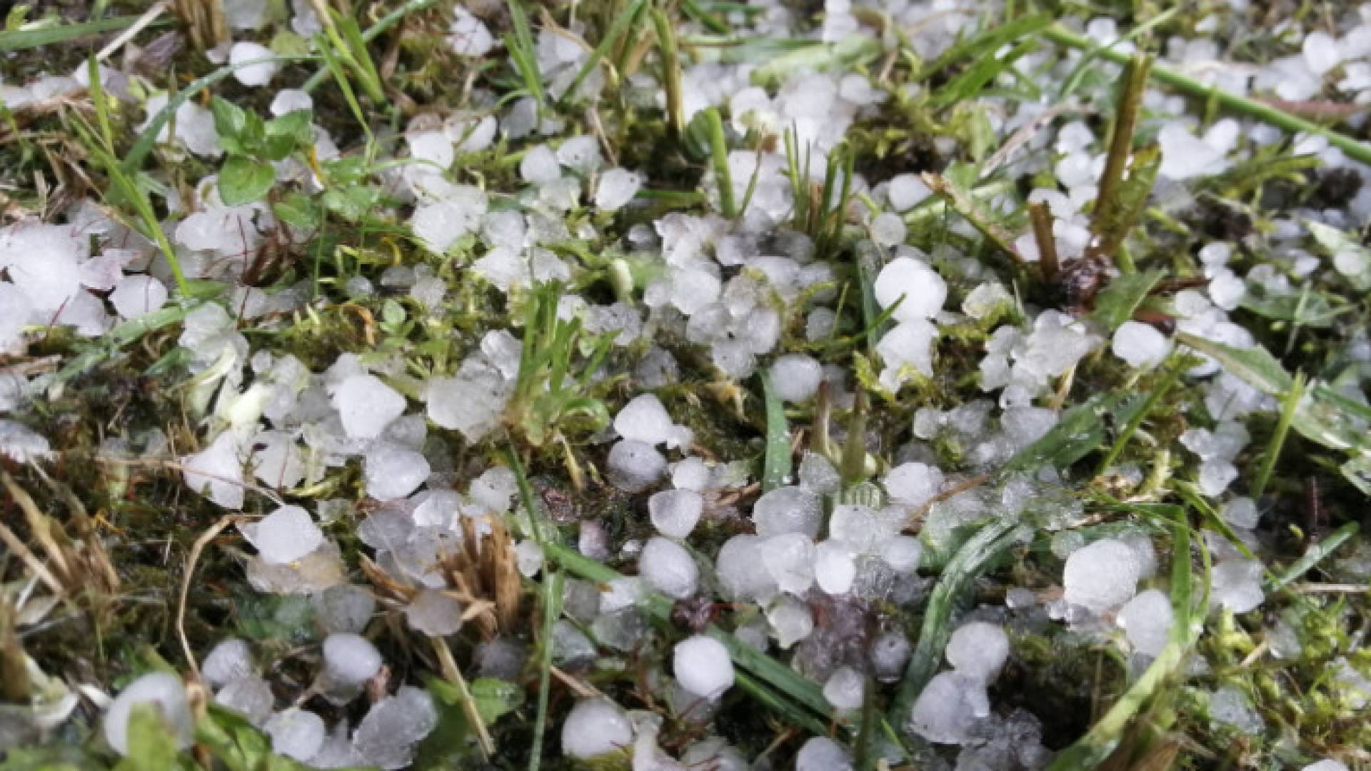 Image 1 from gallery