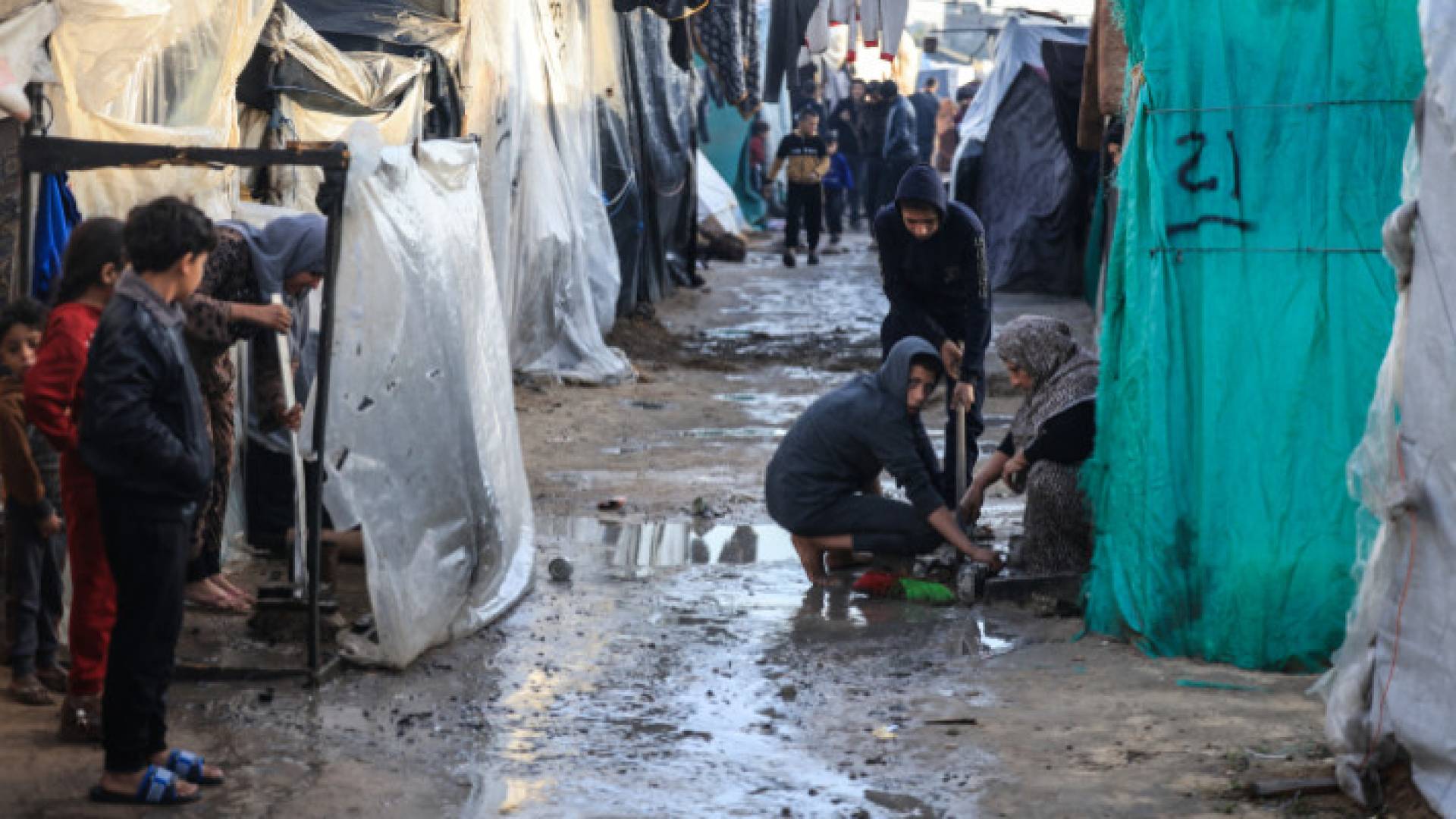 Image 1 from gallery