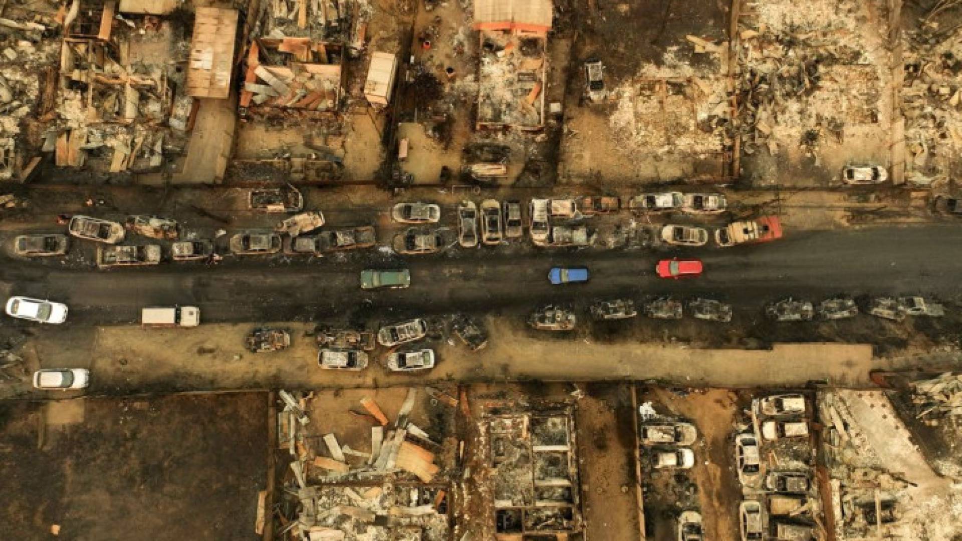 Image 1 from gallery