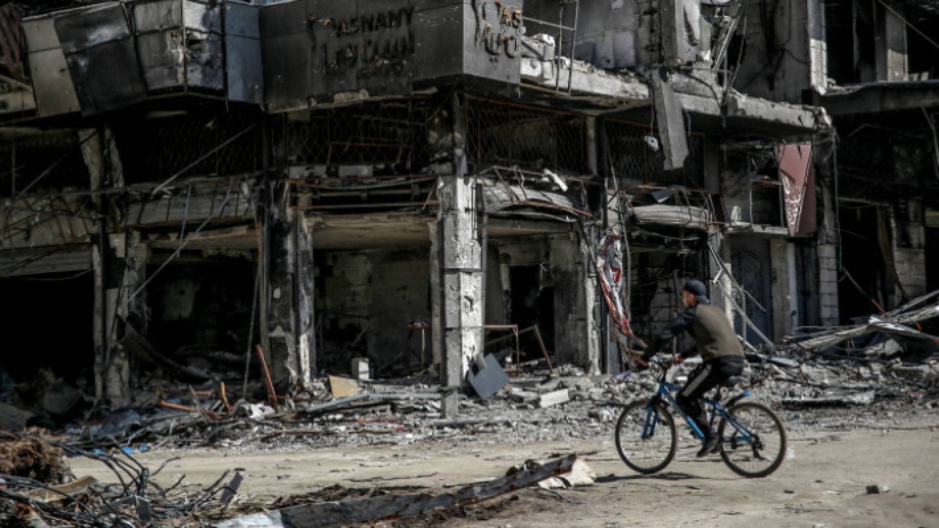 Image 1 from gallery