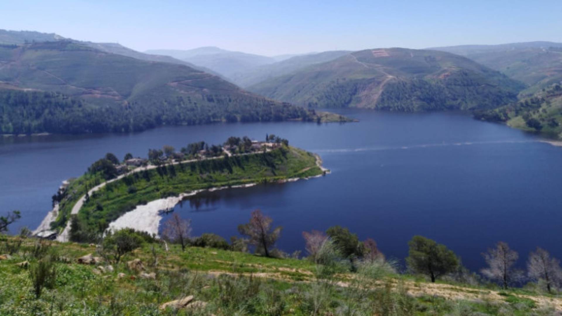 Image 1 from gallery