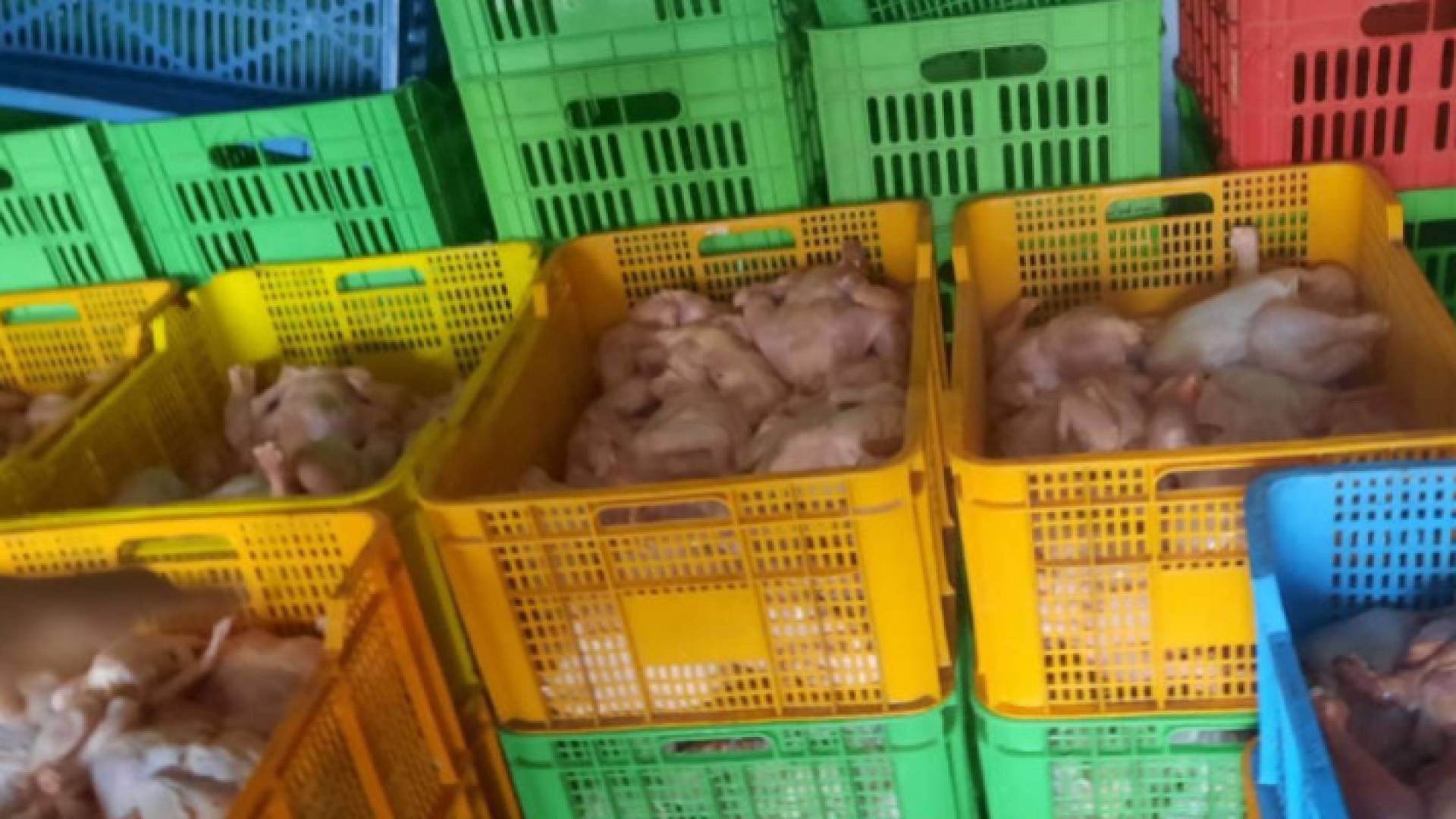 Image 1 from gallery