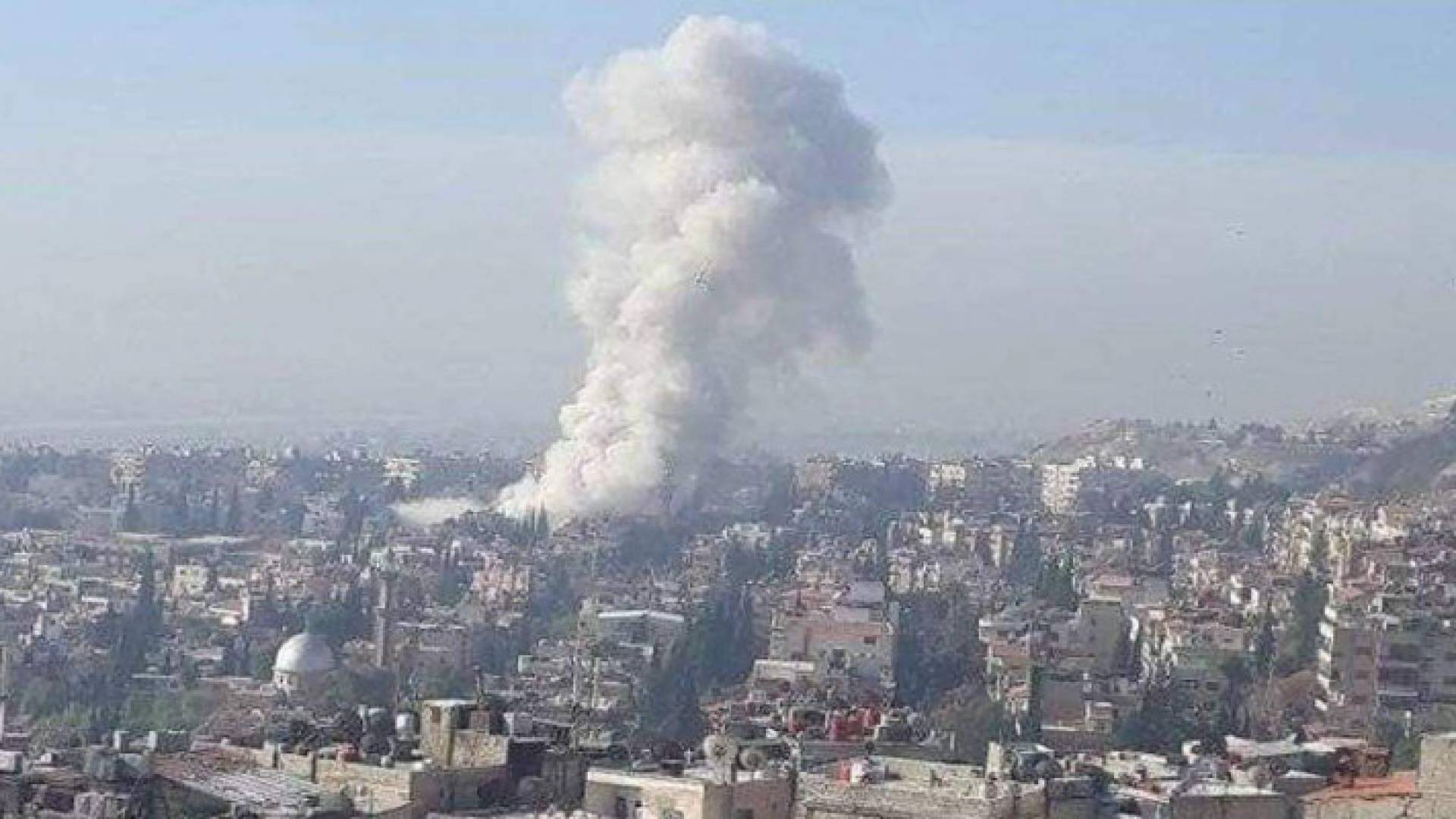 Image 1 from gallery