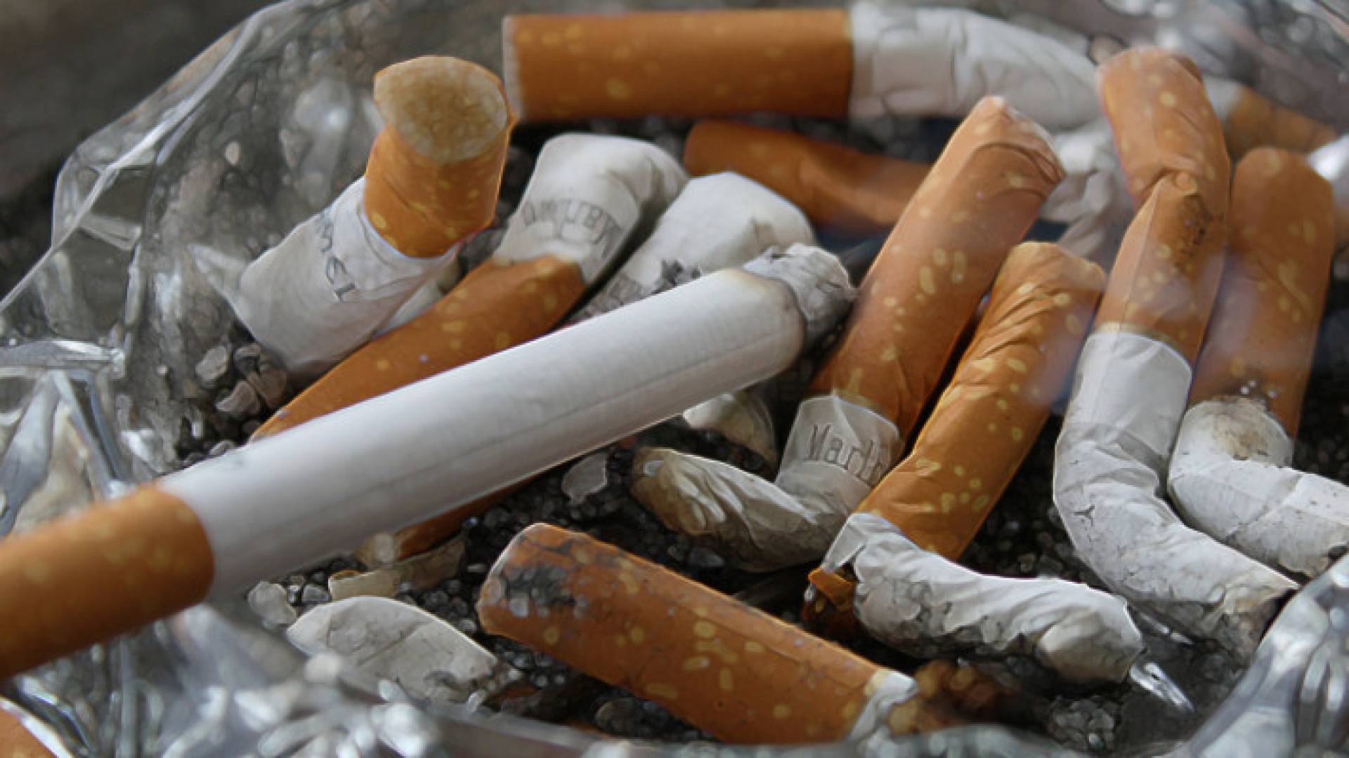 Image 1 from gallery