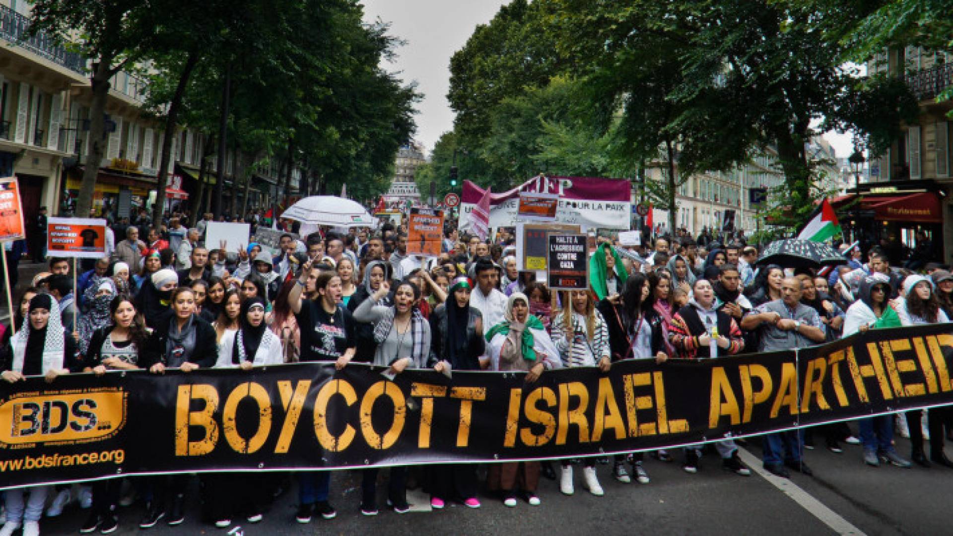 Image 1 from gallery