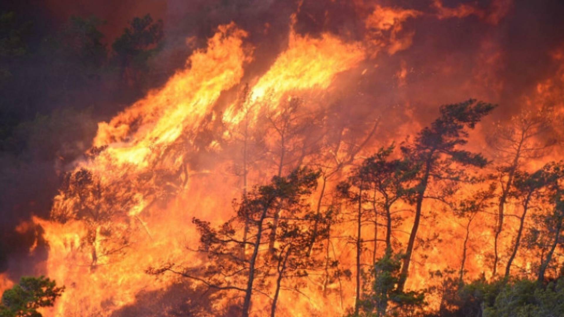 Image 1 from gallery