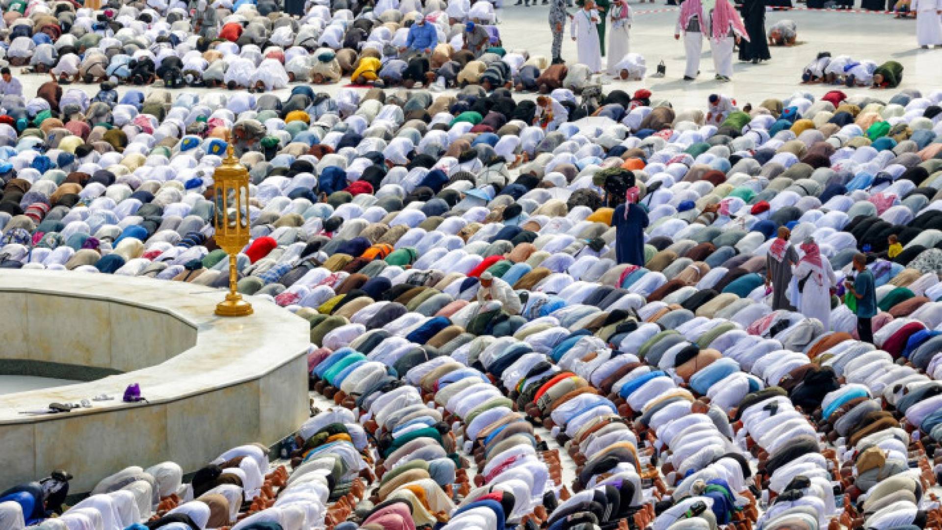 Image 1 from gallery