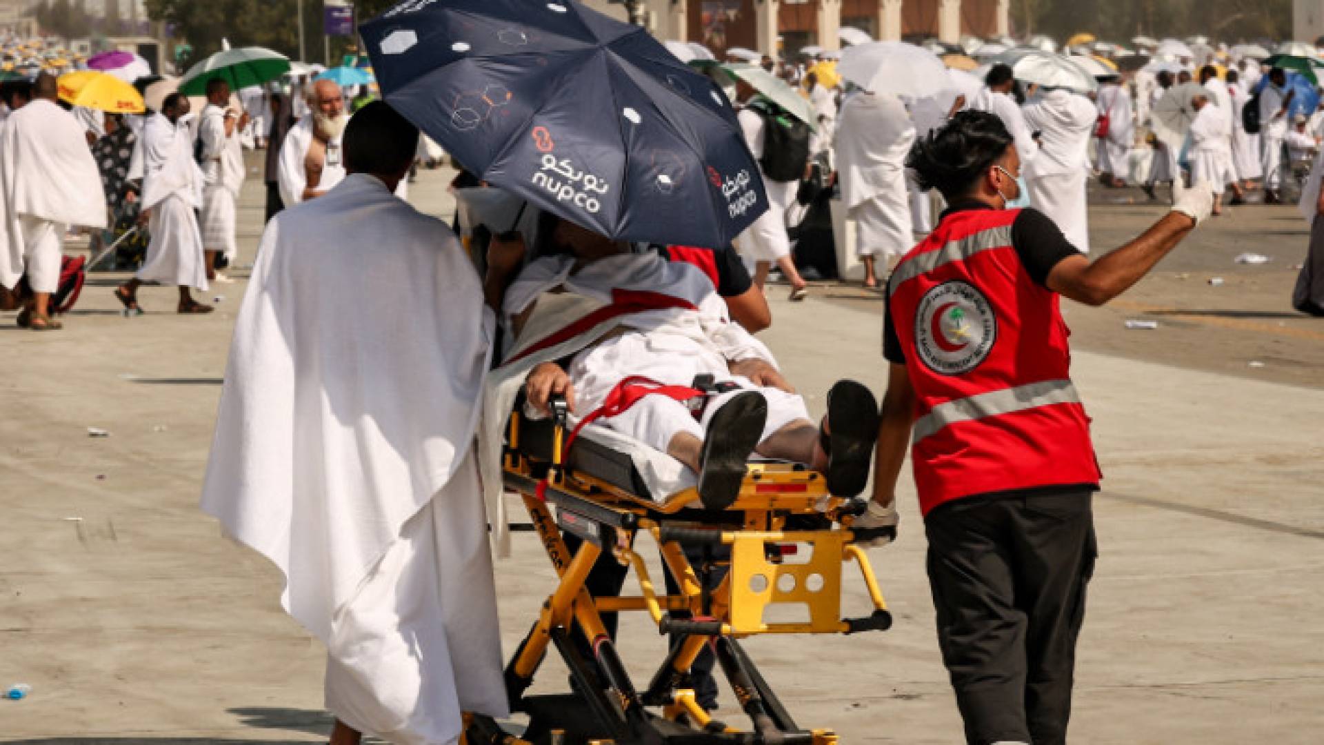 Image 1 from gallery