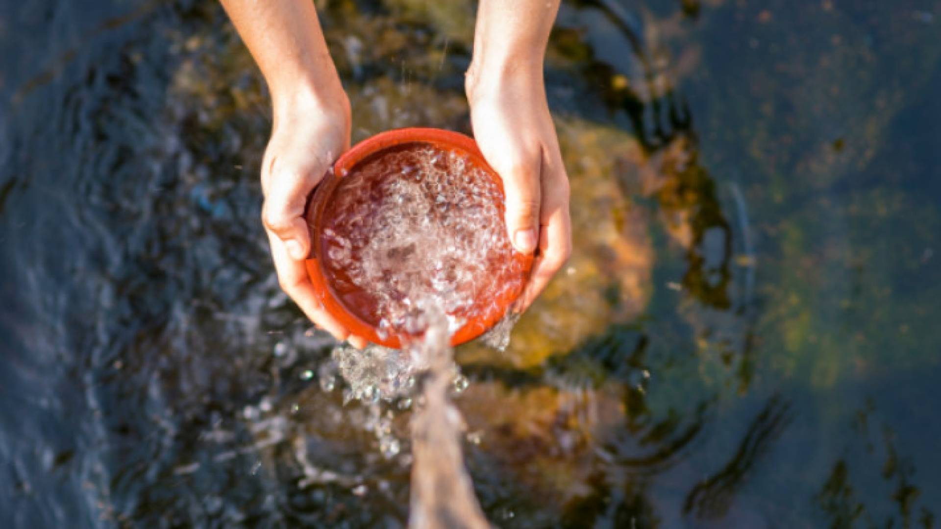 Image 1 from gallery