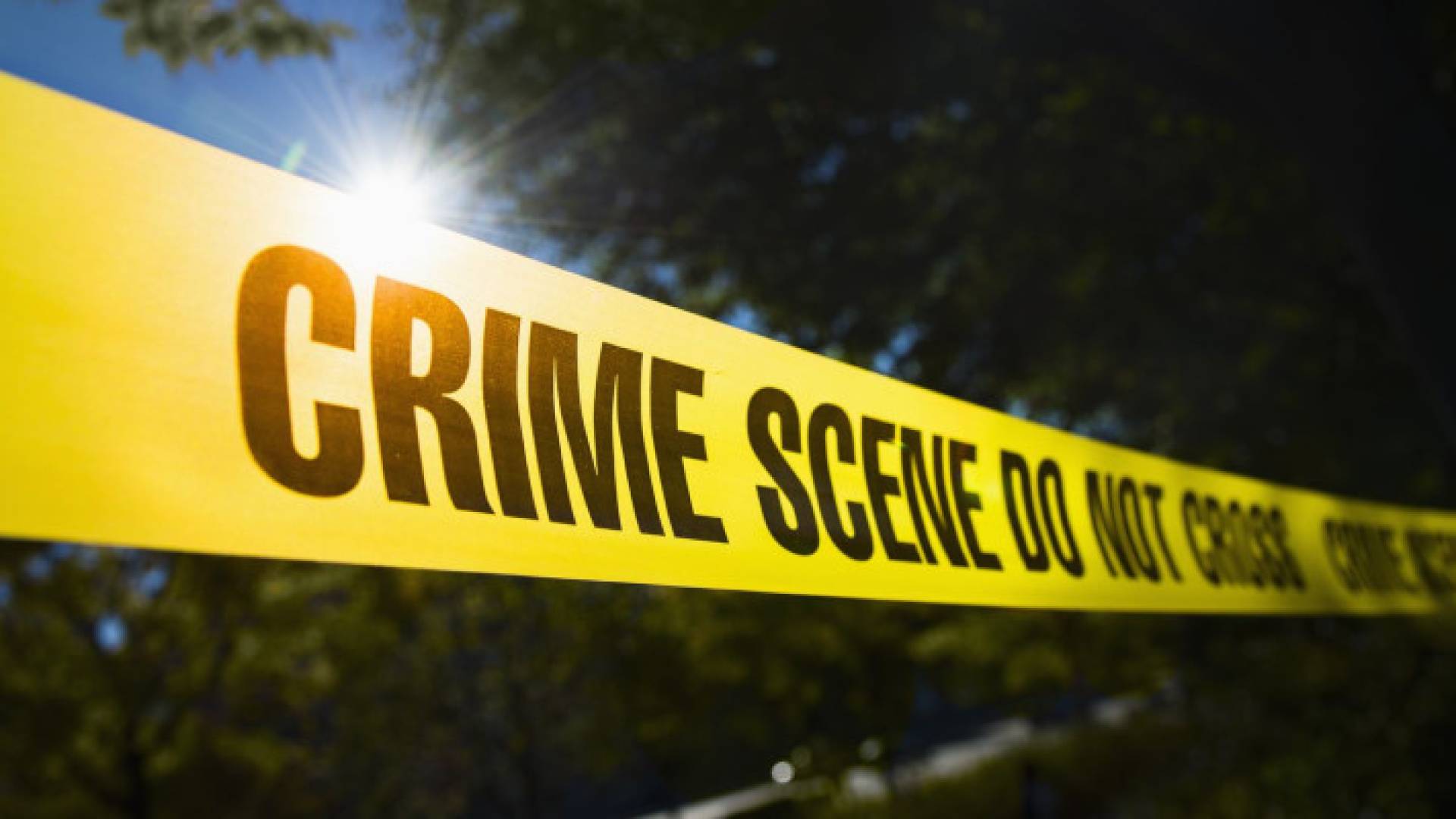 Image 1 from gallery